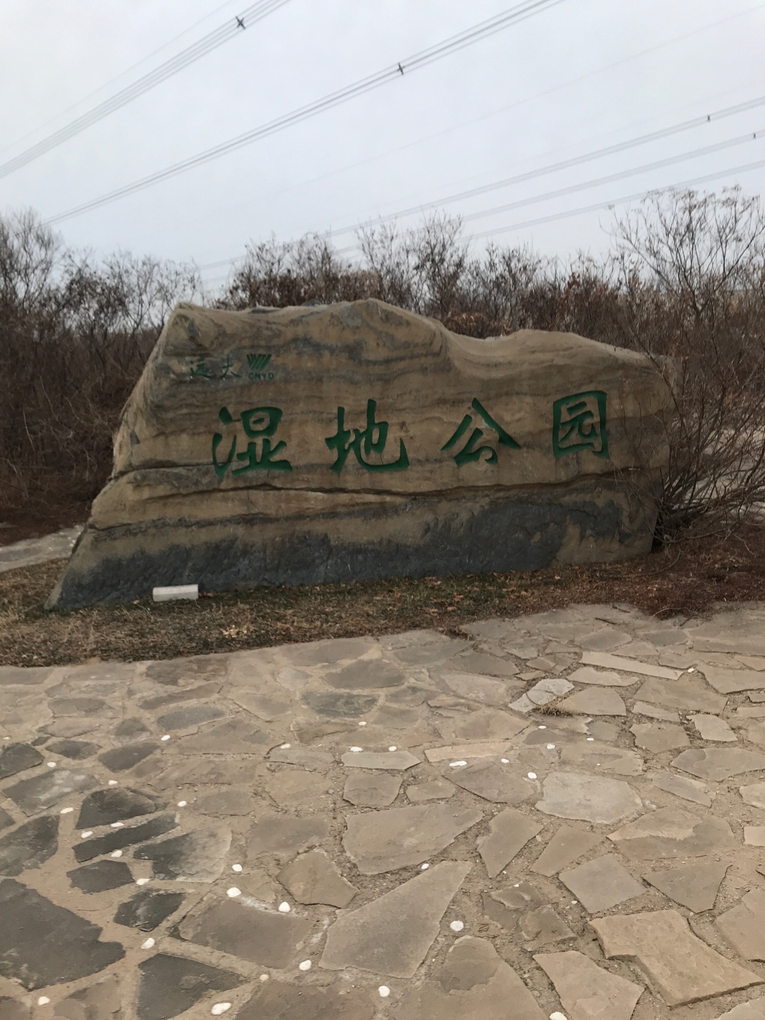 远大湿地公园旅行图片 3