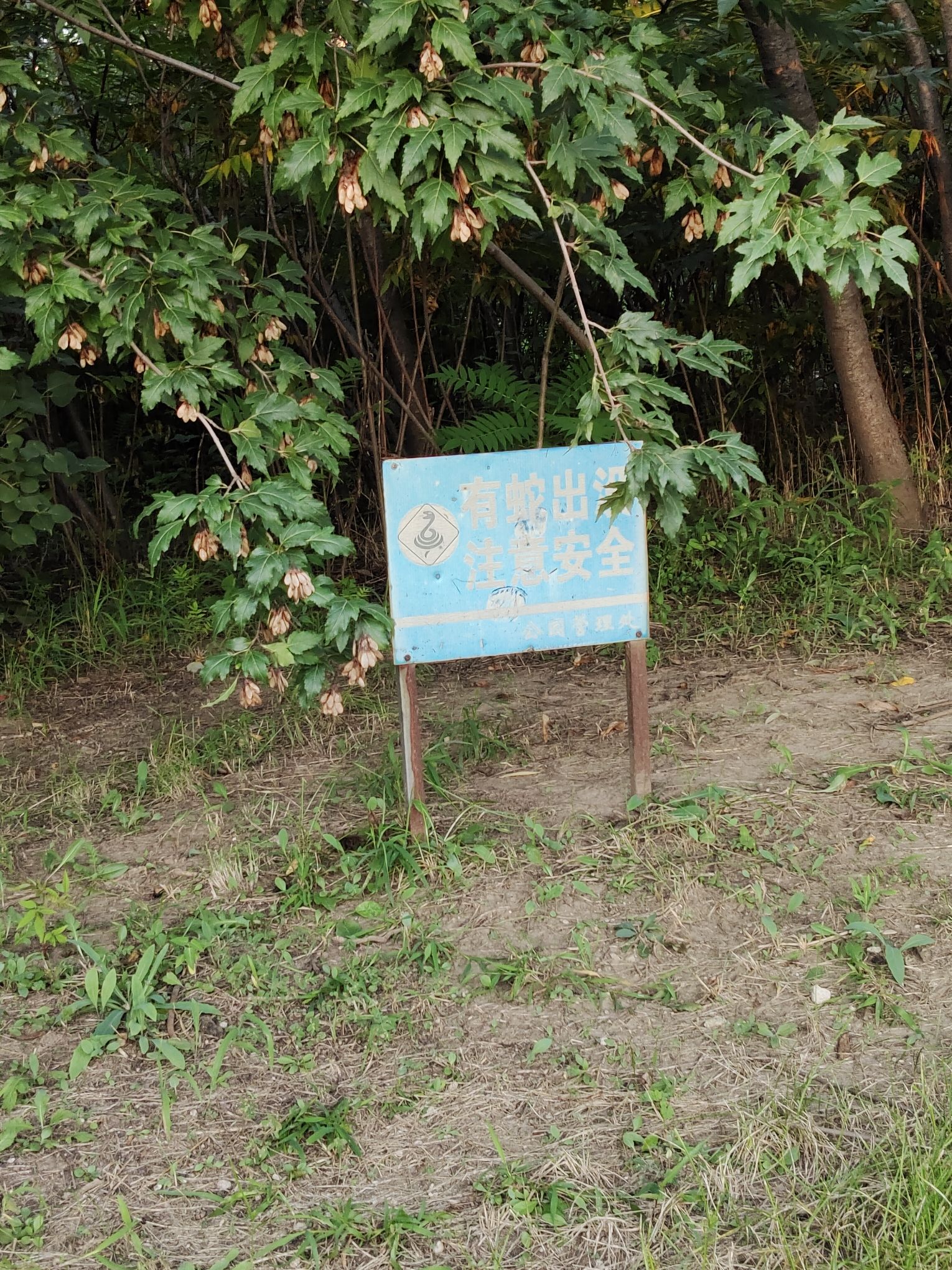 远大湿地公园旅行图片 1