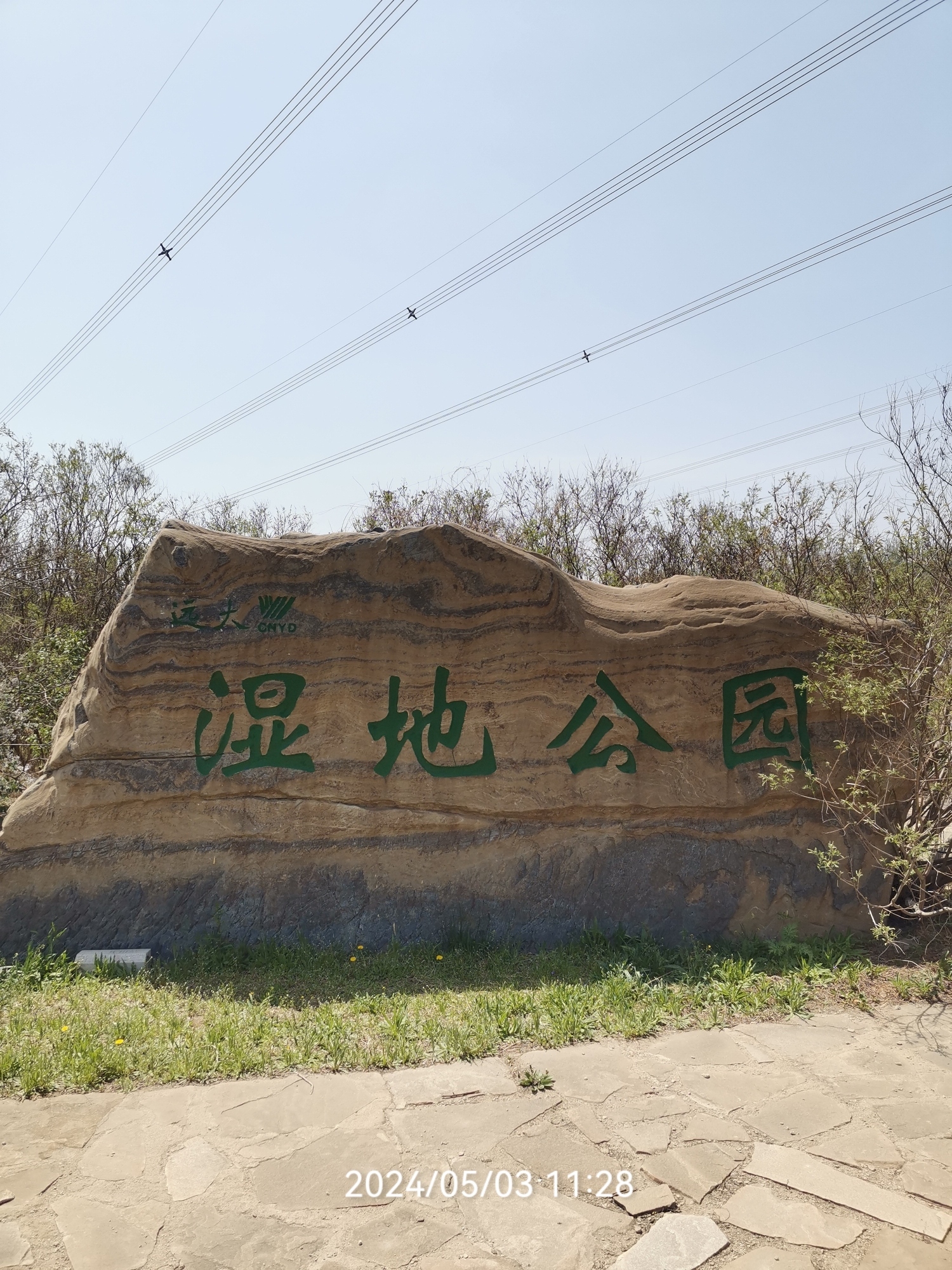 远大湿地公园旅行图片 1