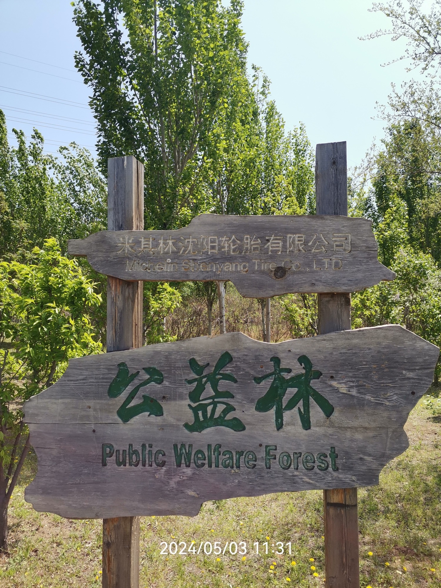远大湿地公园旅行图片 2