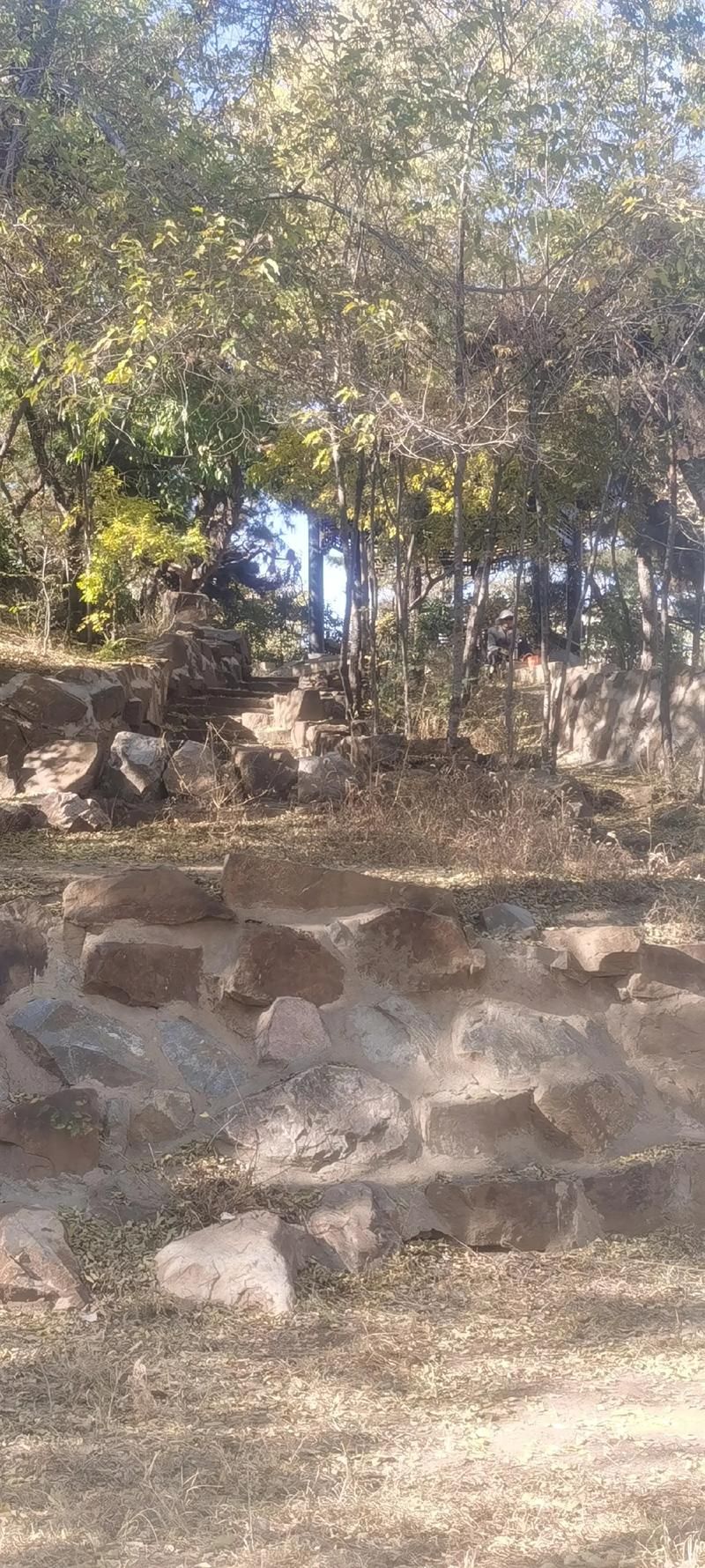 沈阳市铁西区劳动公园旅行图片 3