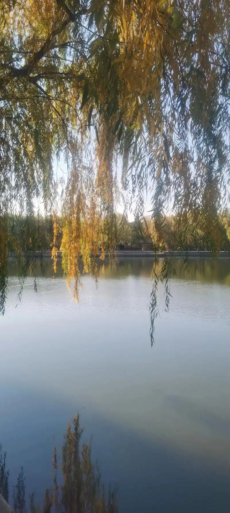 沈阳市铁西区劳动公园旅行图片 2