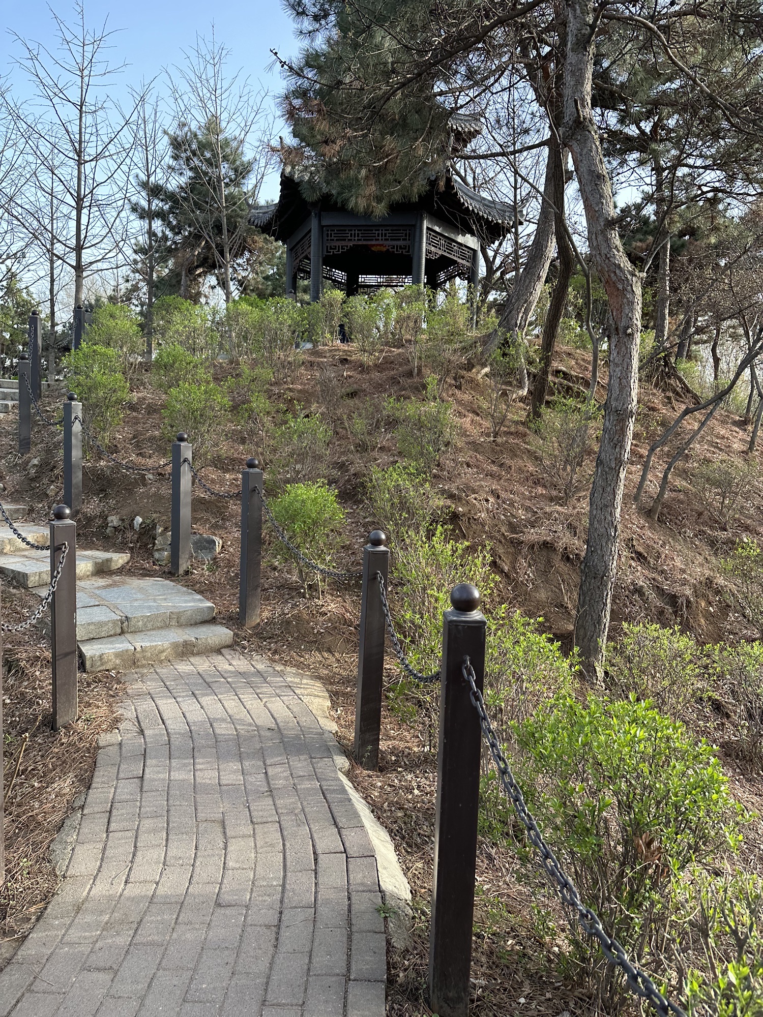 沈阳市铁西区劳动公园旅行图片 3