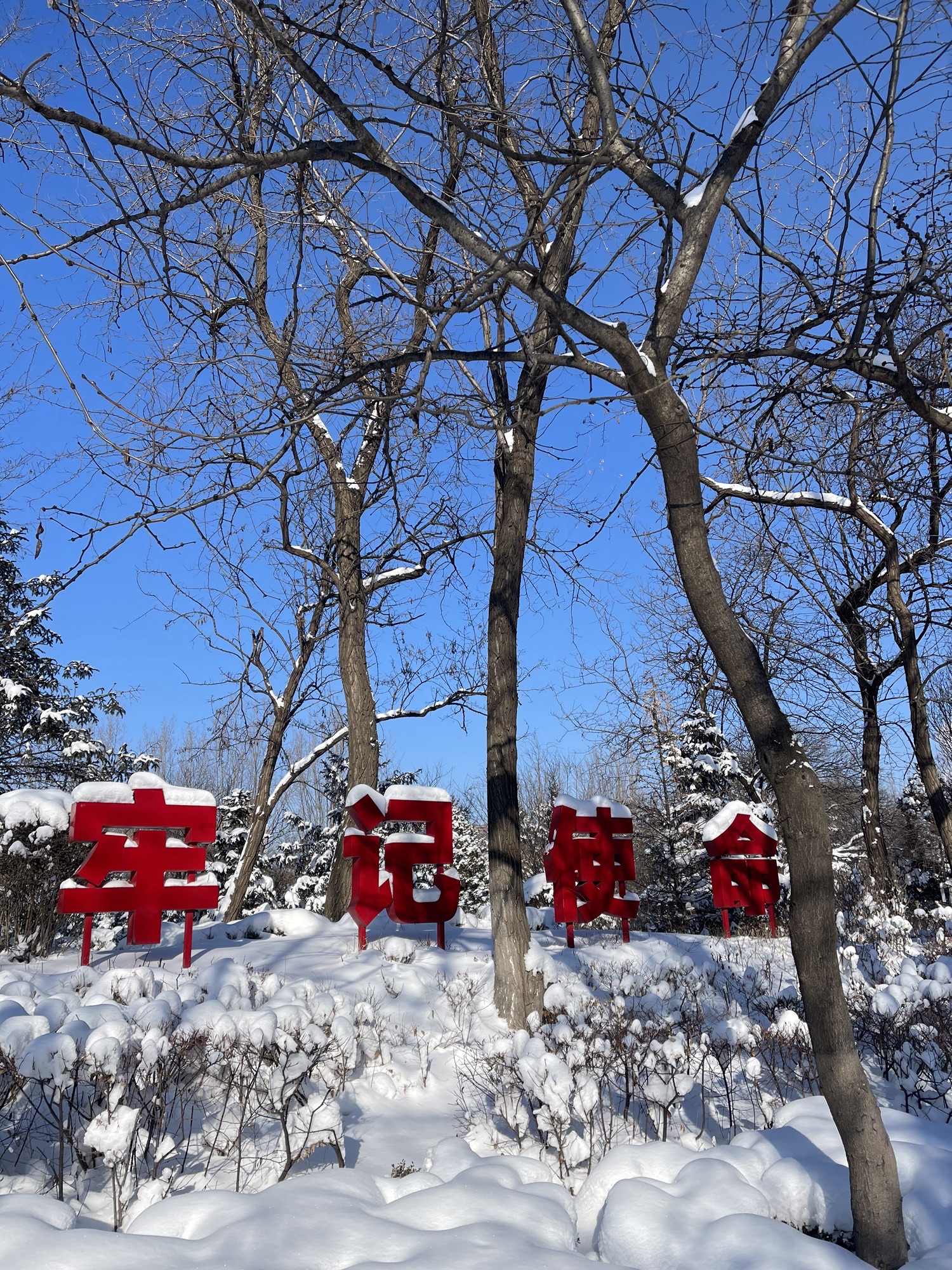 沈阳市铁西区劳动公园旅行图片 2