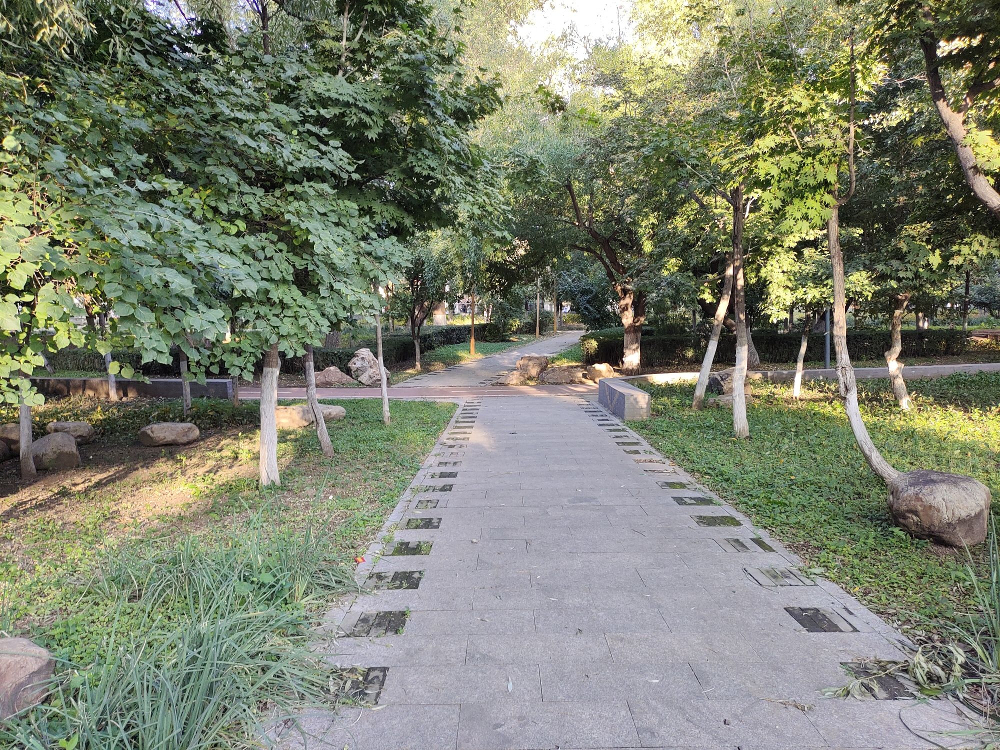 怡静园旅行图片 1