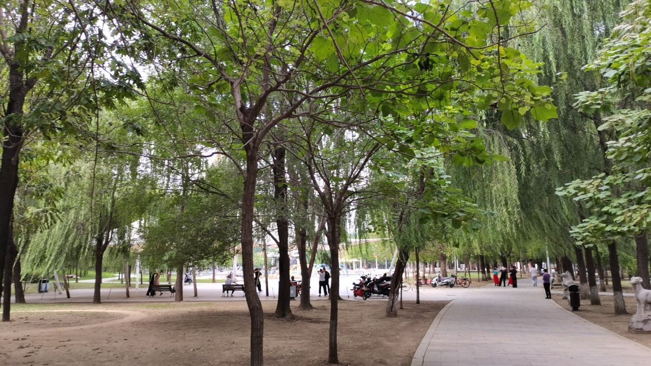 金山公园旅行图片 2