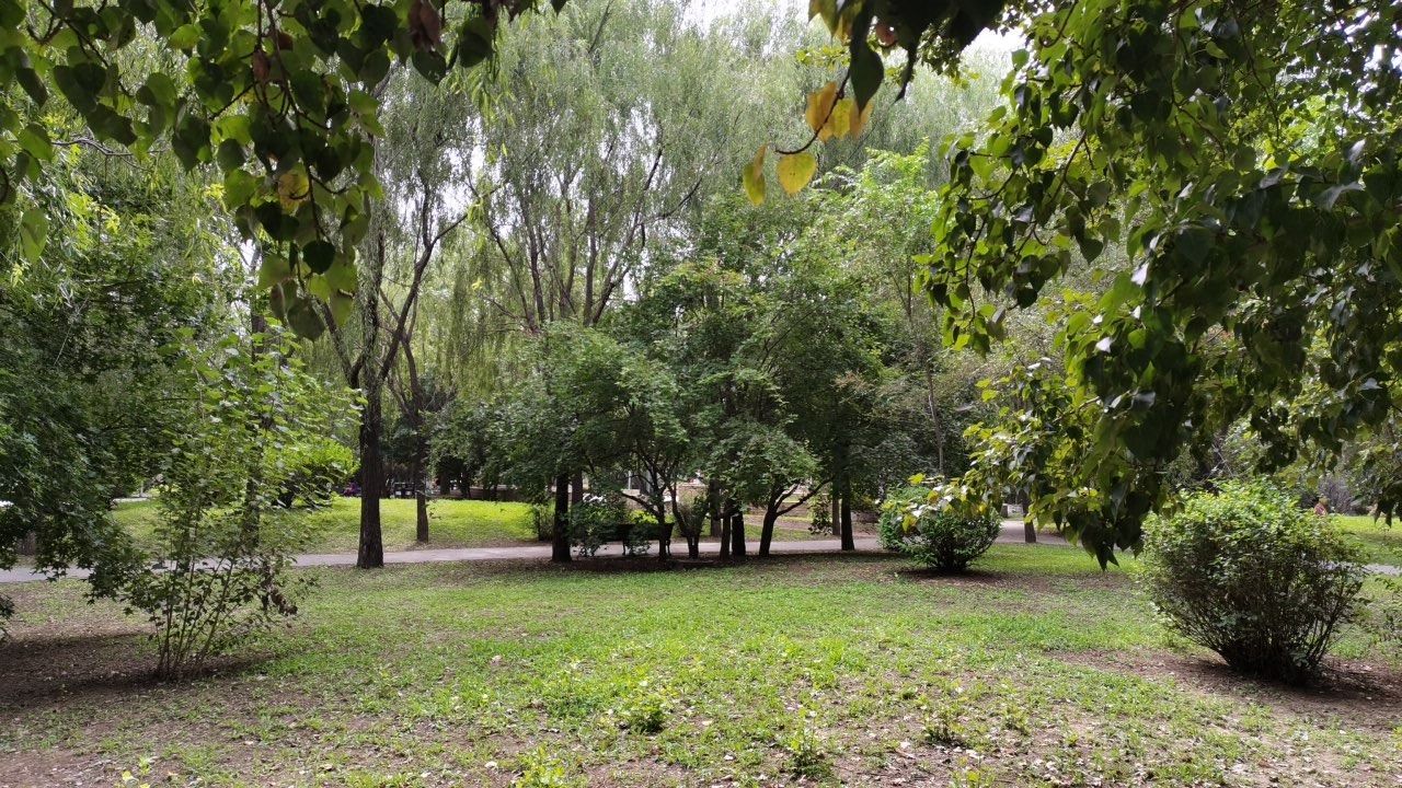 金山公园旅行图片 3