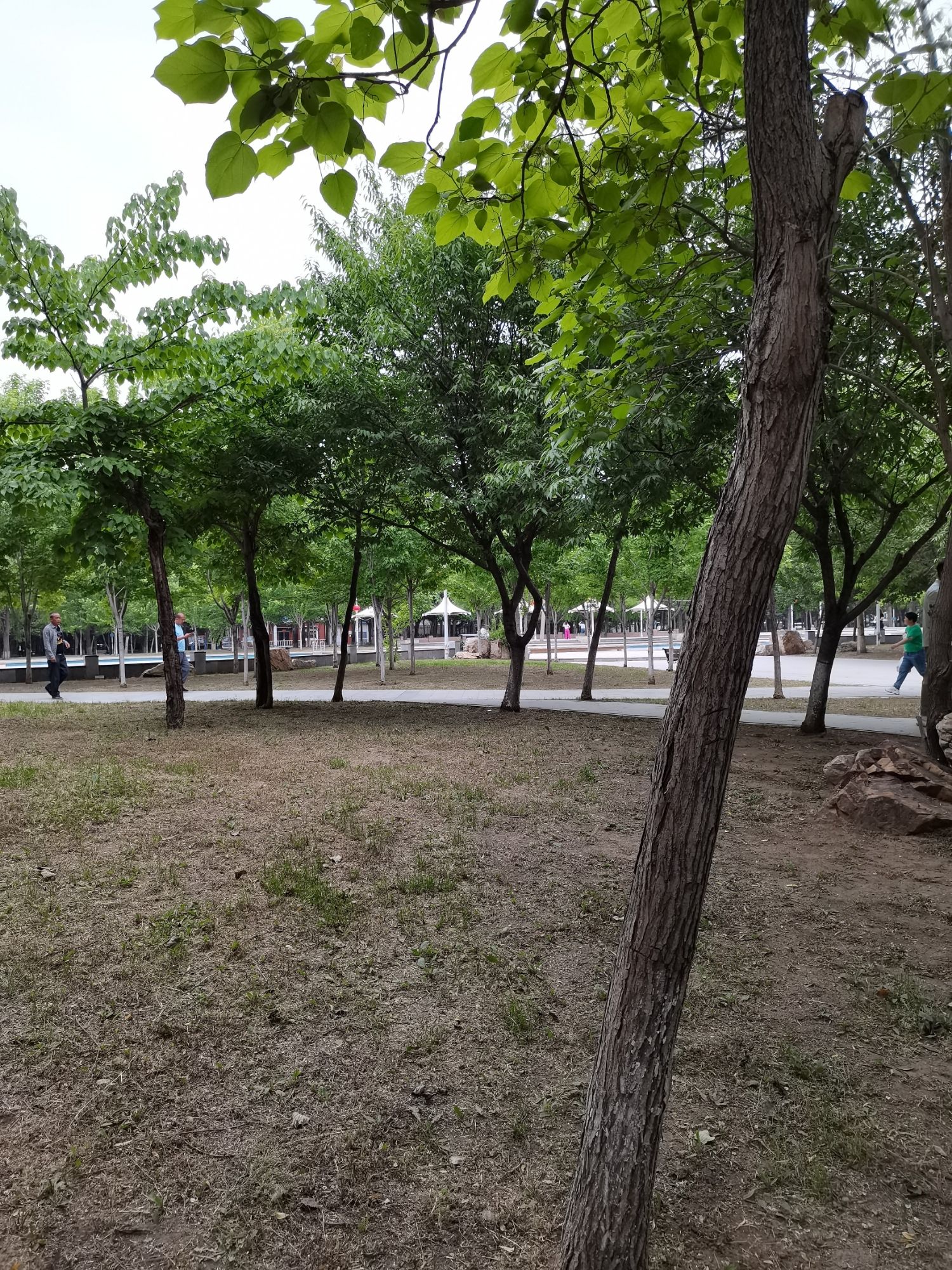 金山公园旅行图片 3
