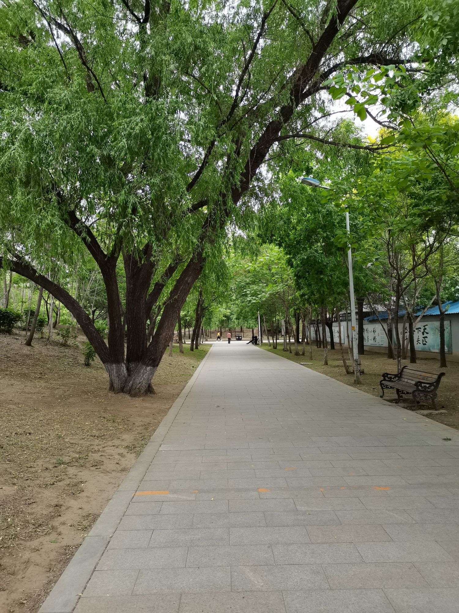 金山公园旅行图片 1