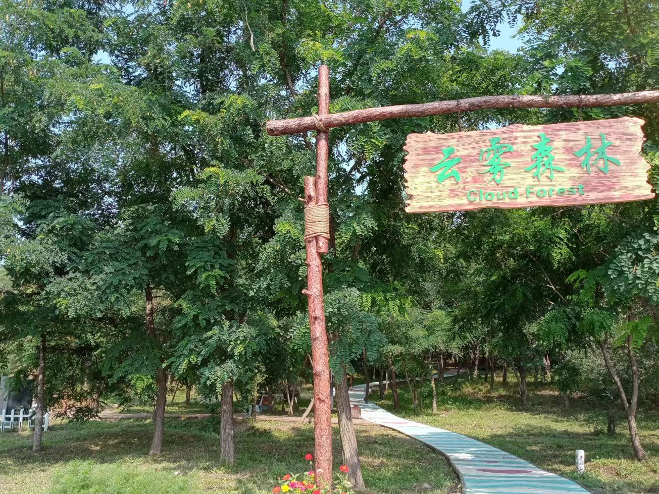 沈阳怪坡风景区旅行图片 1