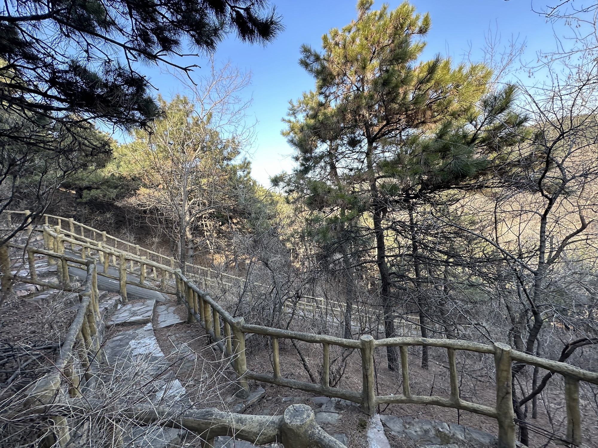 沈阳怪坡风景区旅行图片 2
