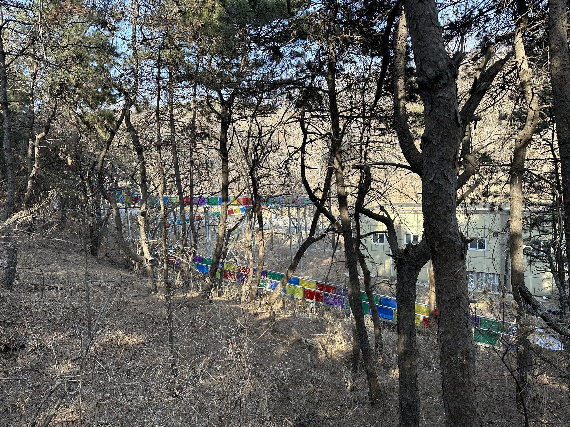 沈阳怪坡风景区旅行图片 1