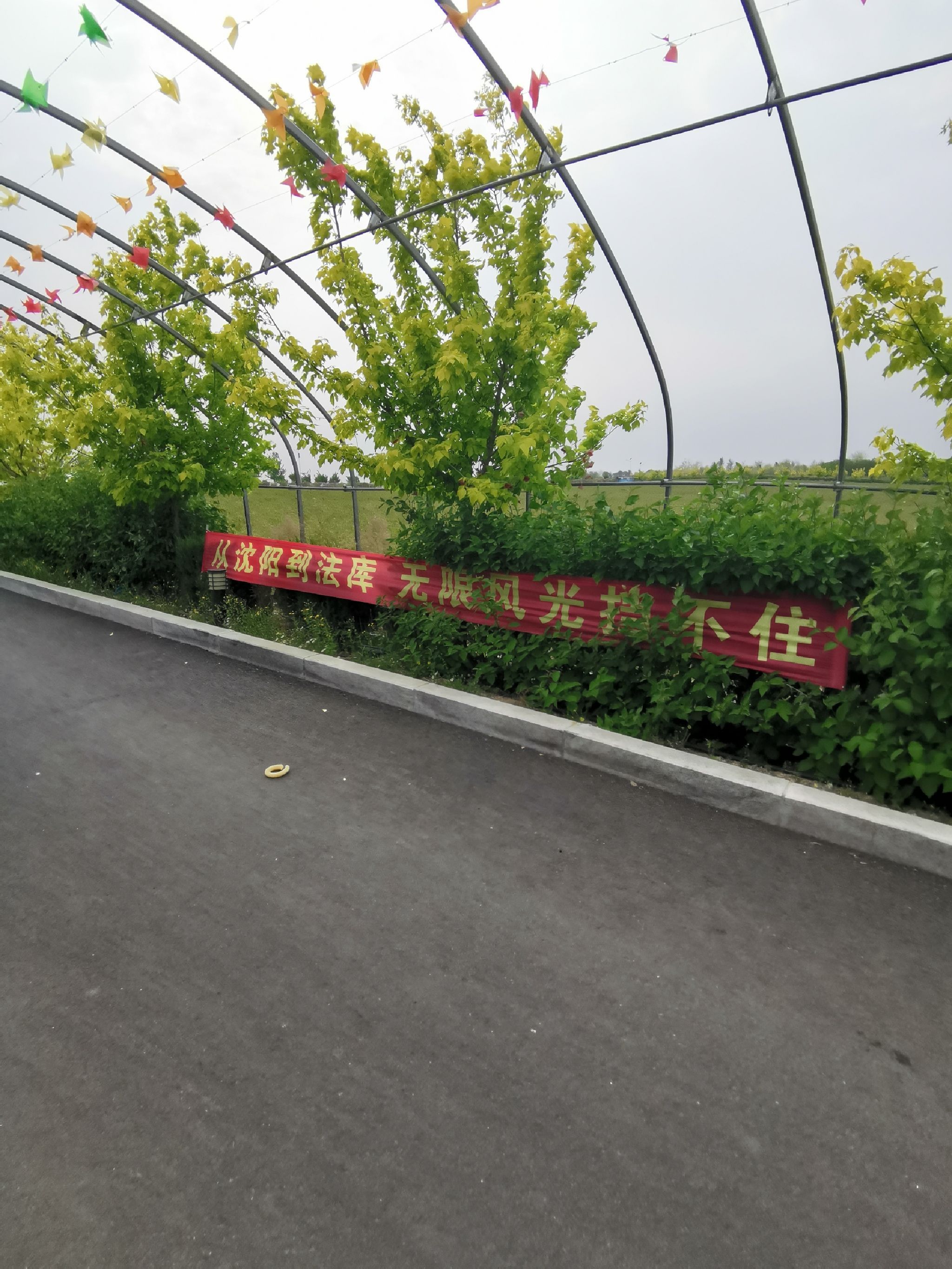 财湖旅游景区旅行图片 1