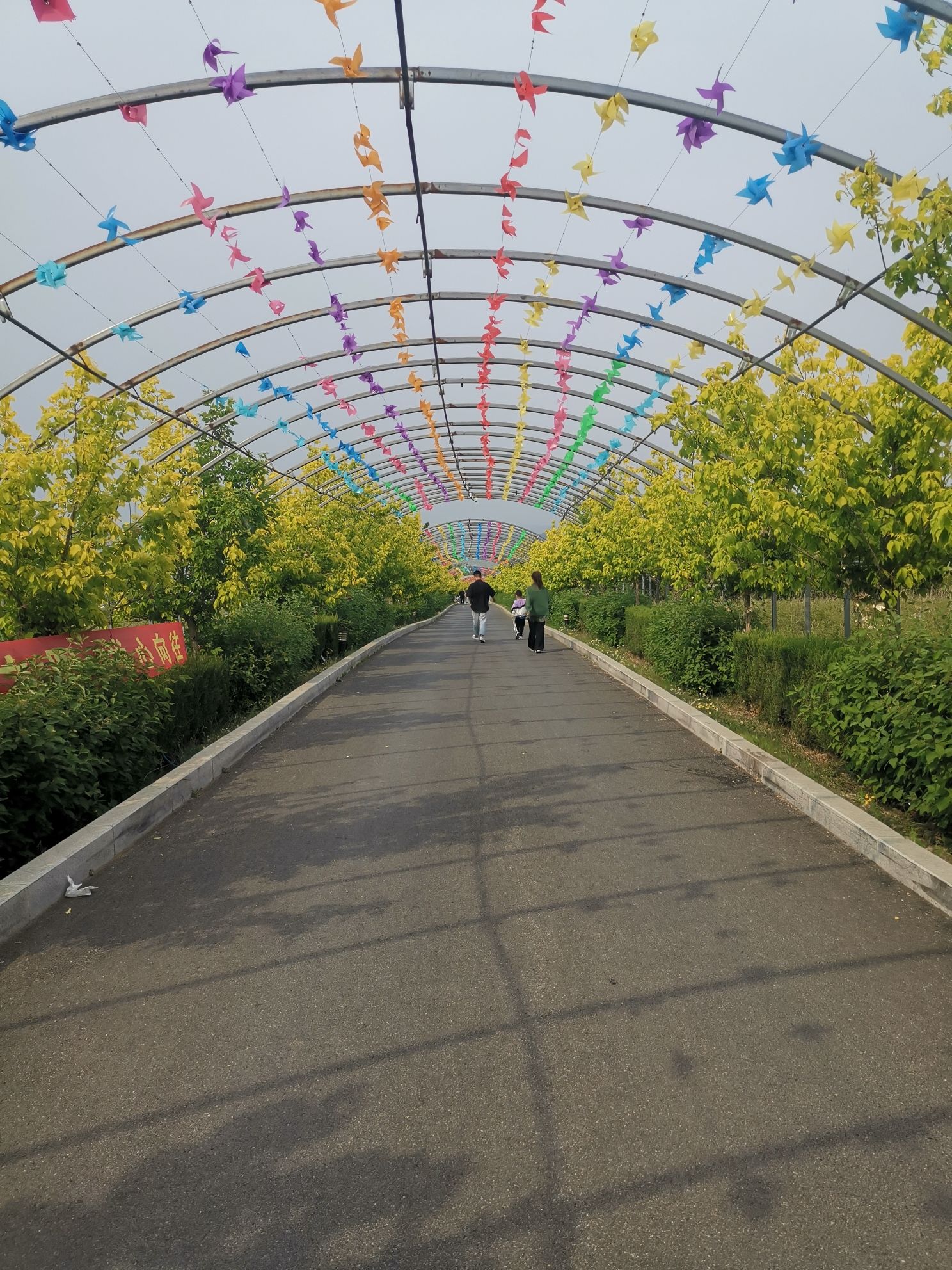 财湖旅游景区旅行图片 2
