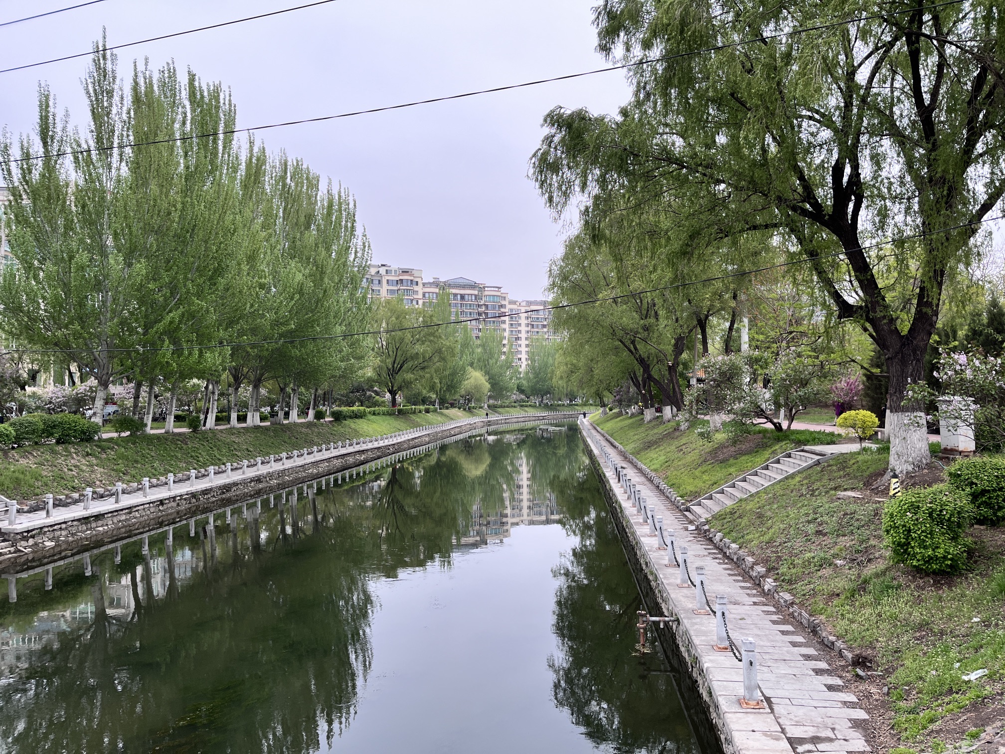 夏芳园旅行图片 1
