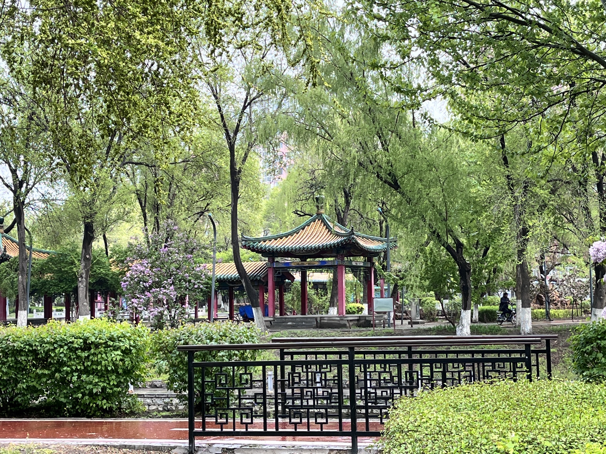夏芳园旅行图片 2