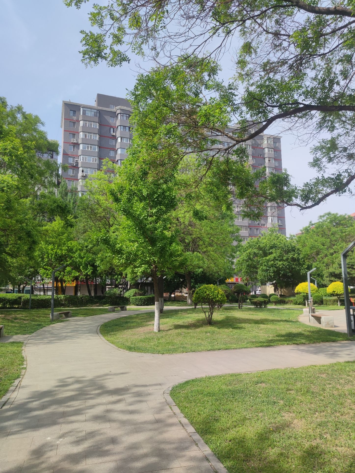 和谐园旅行图片 3