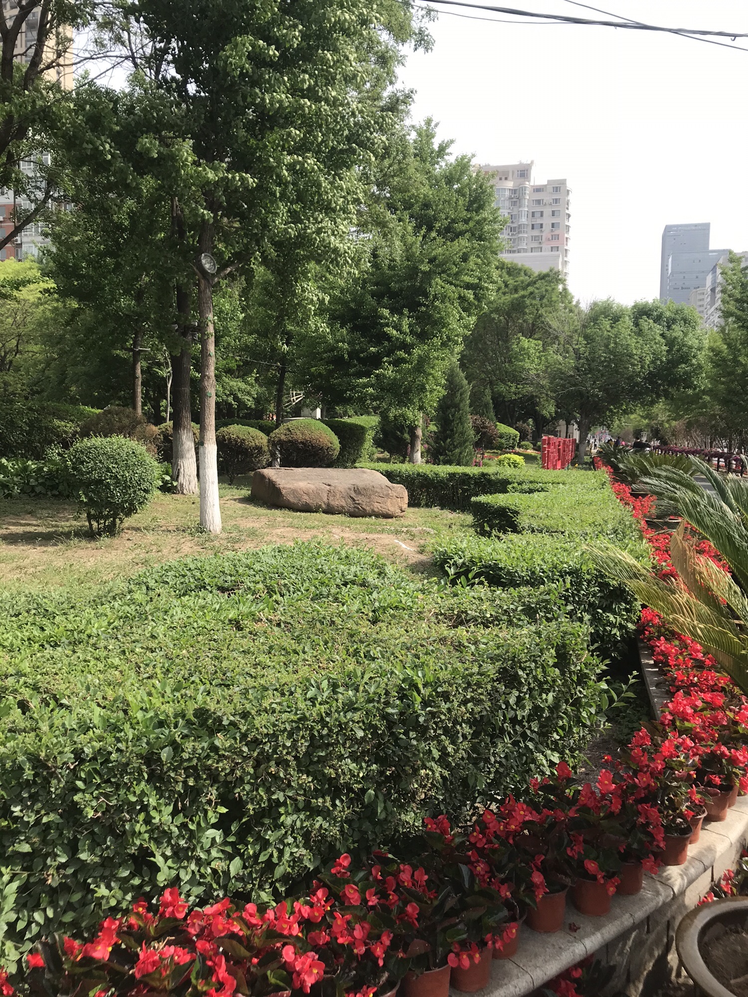 和谐园旅行图片 3