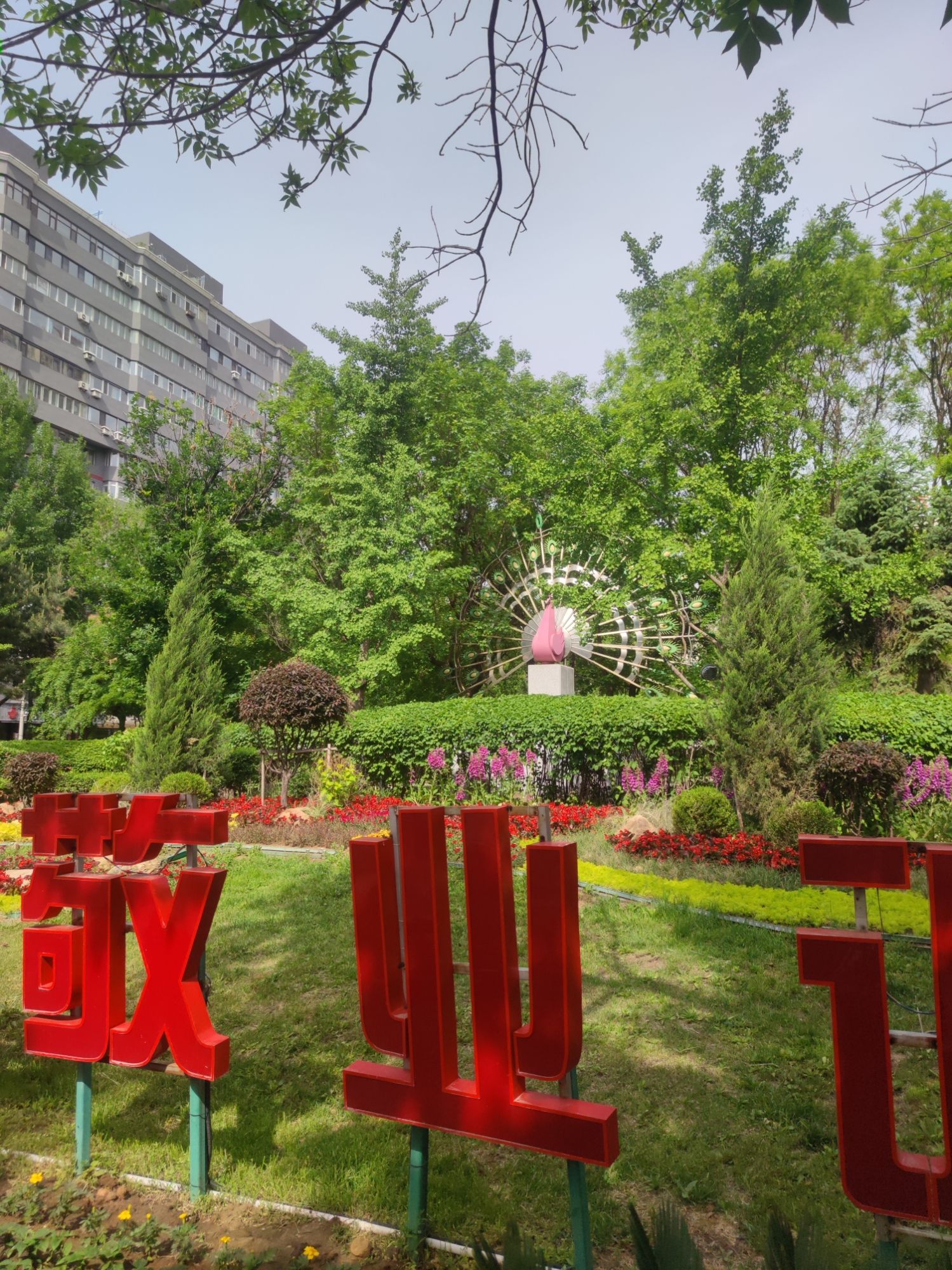 和谐园旅行图片 2