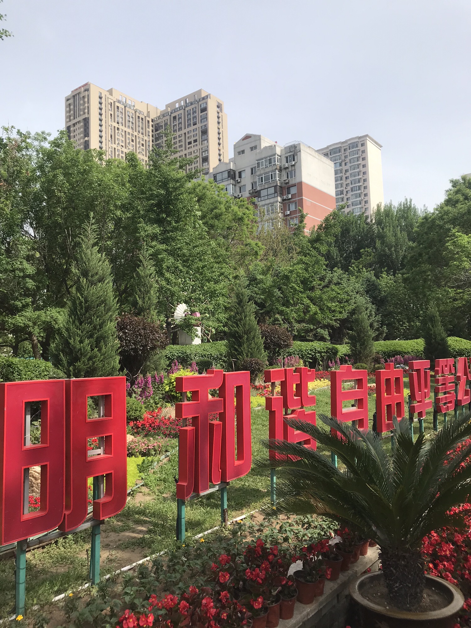 和谐园旅行图片 2