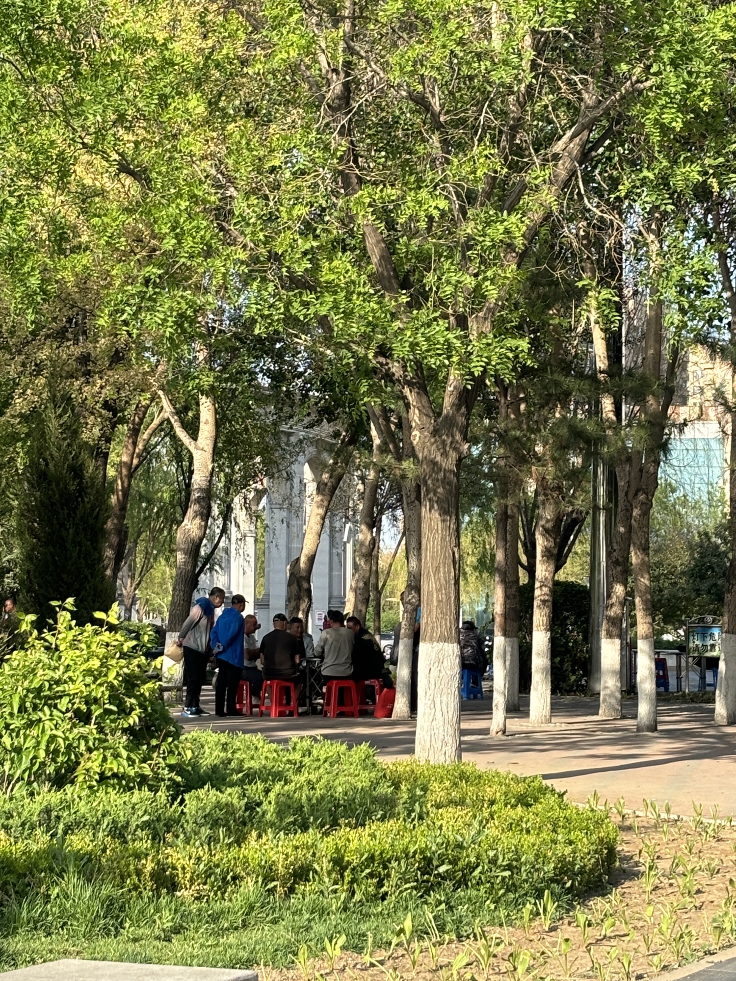 和谐广场旅行图片 3