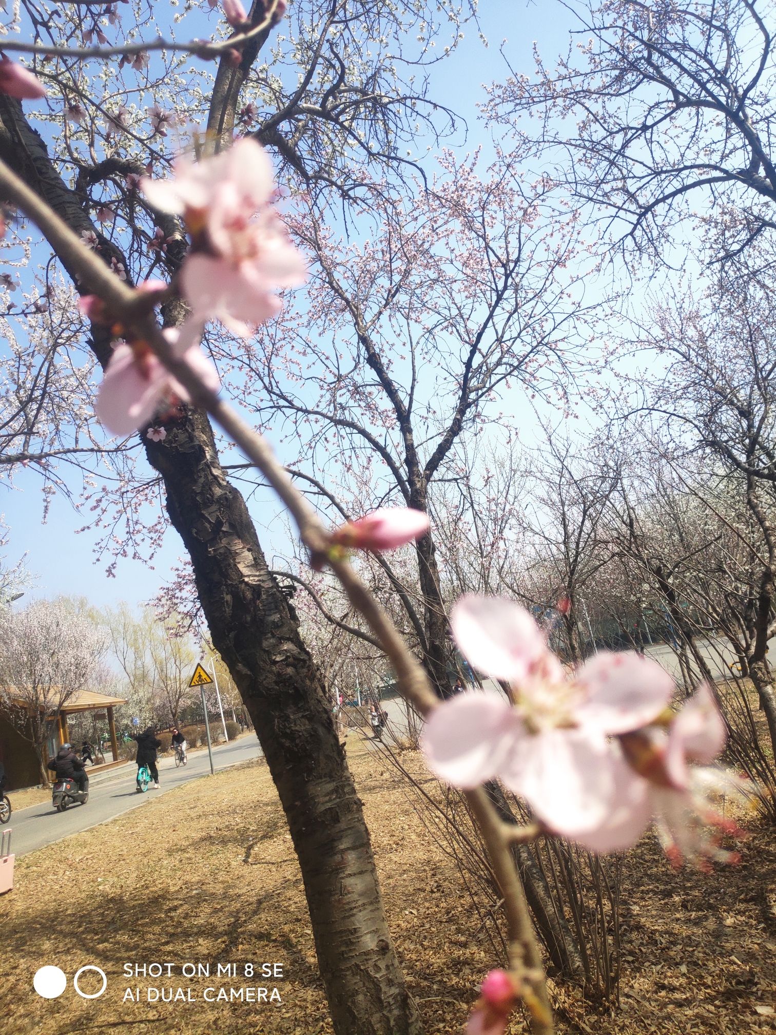 浑河晚渡公园旅行图片 2