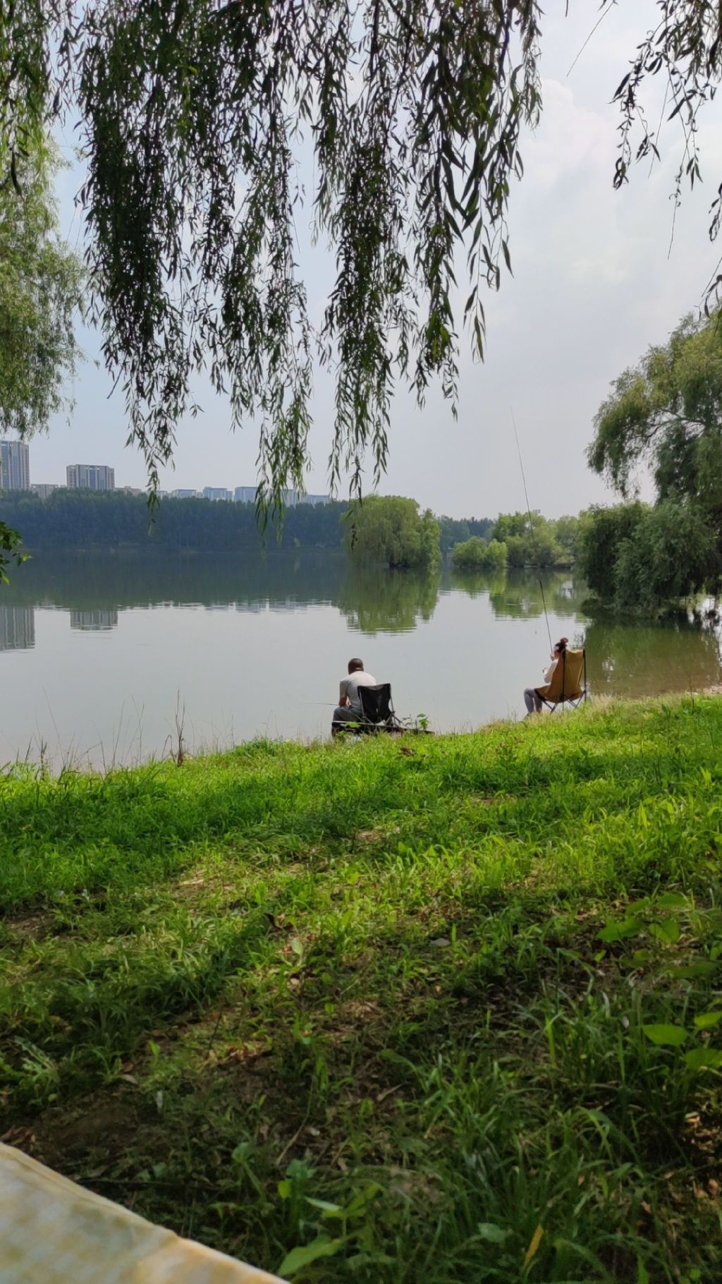 浑河晚渡公园旅行图片 1