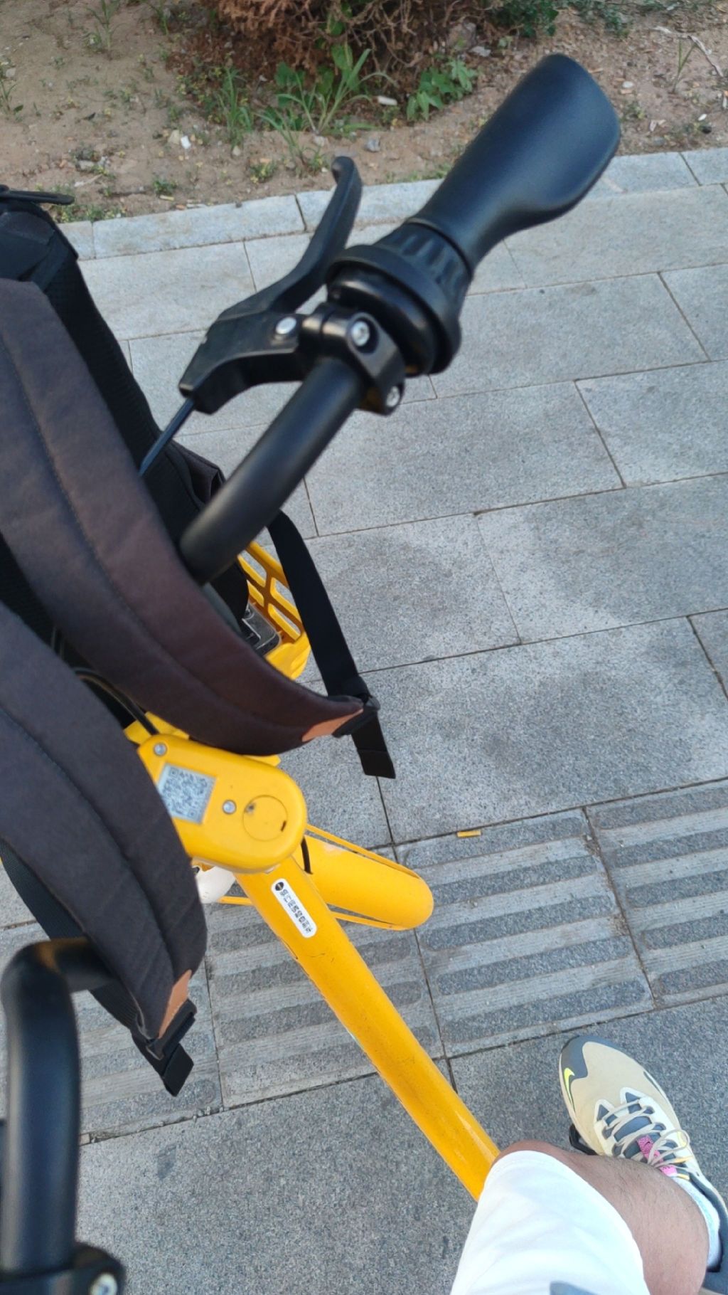 浑河晚渡公园旅行图片 3