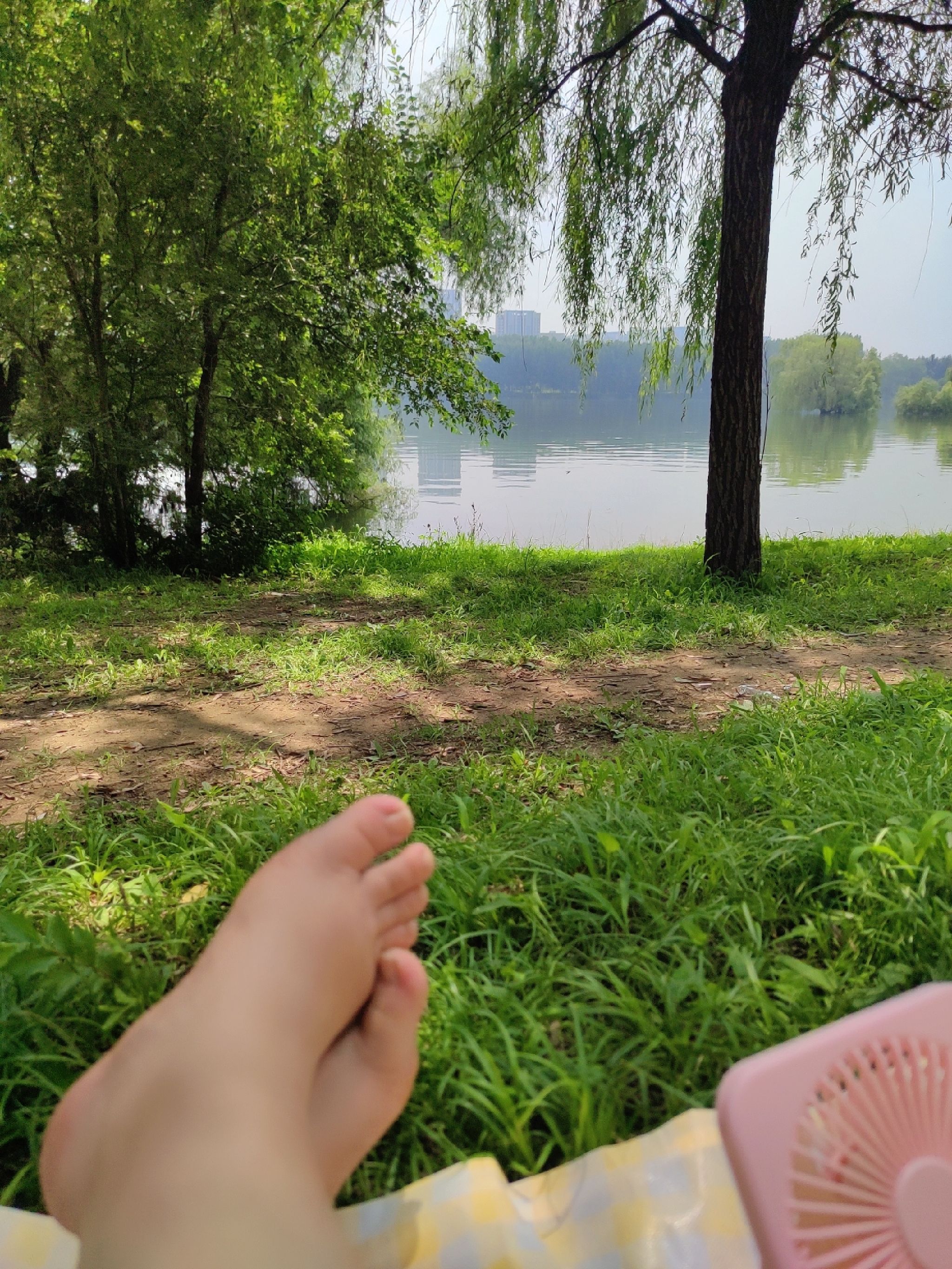 浑河晚渡公园旅行图片 2