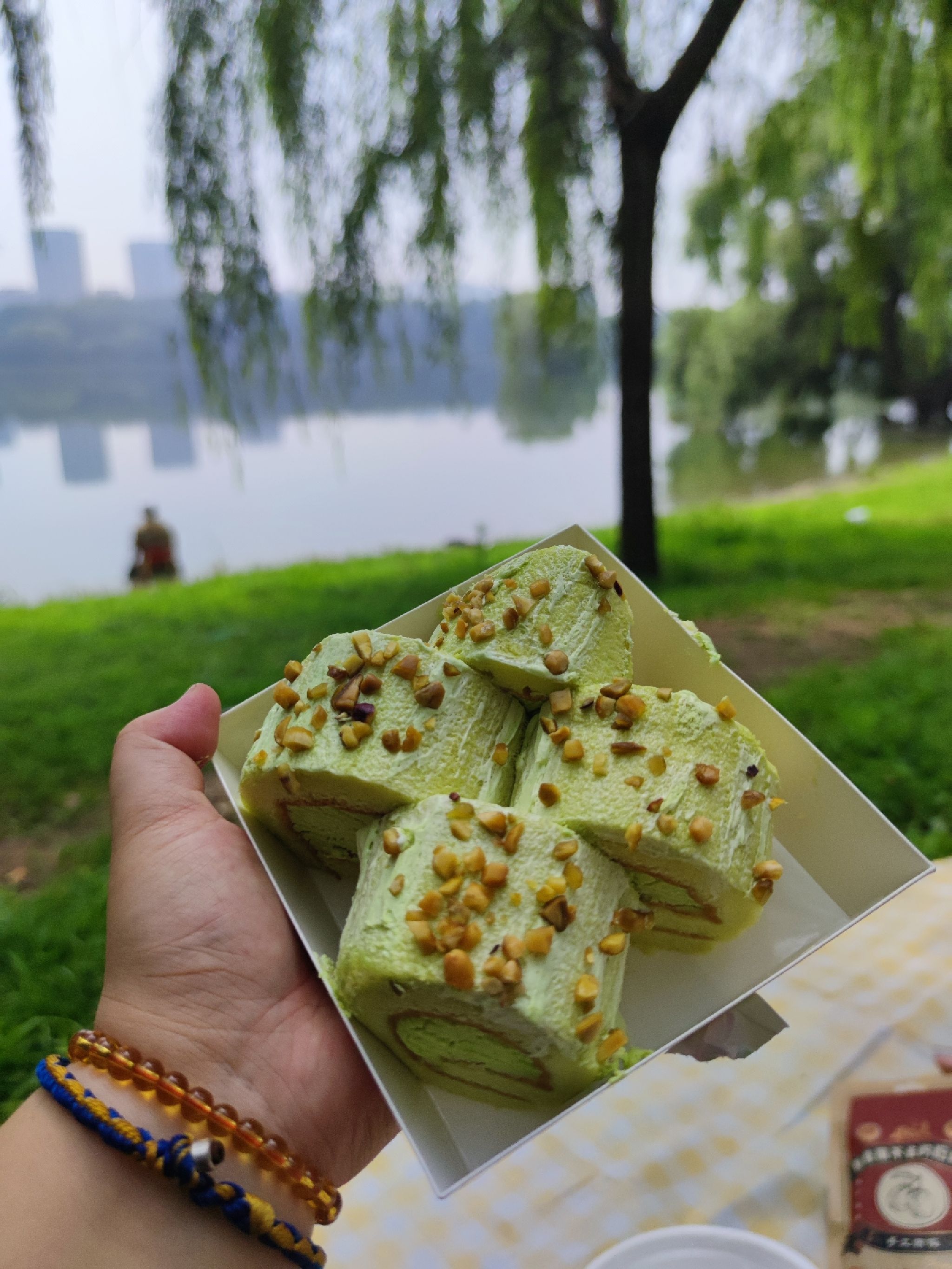 浑河晚渡公园旅行图片 3