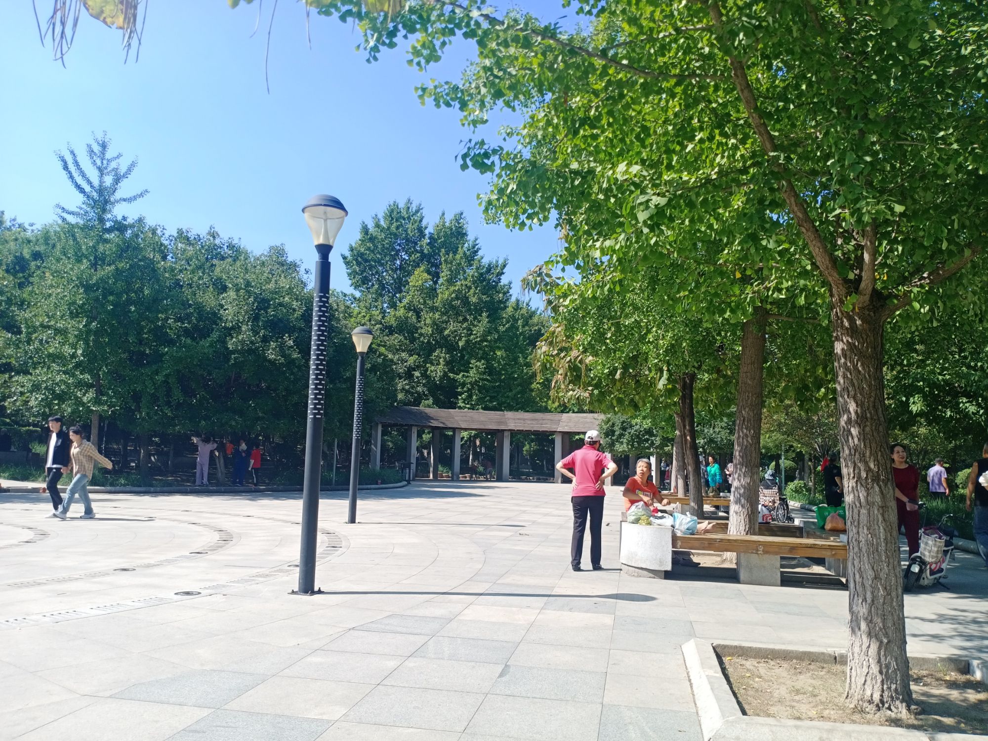 领事馆绿地旅行图片 2