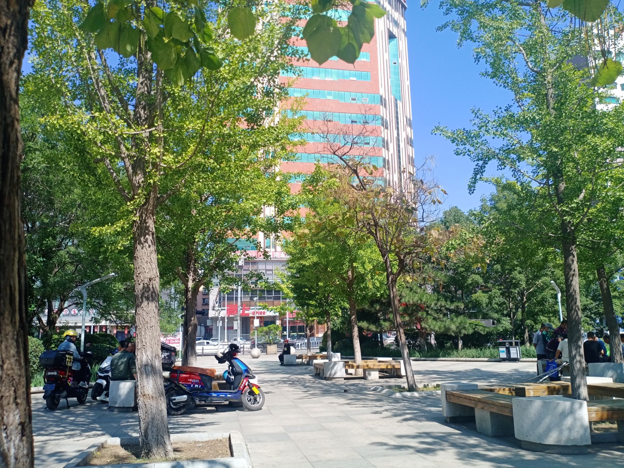 领事馆绿地旅行图片 3