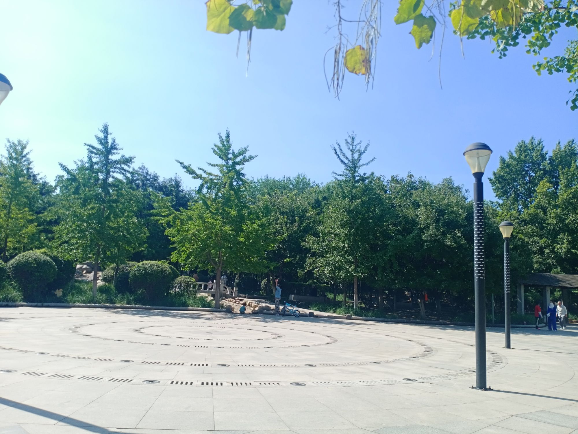 领事馆绿地旅行图片 1