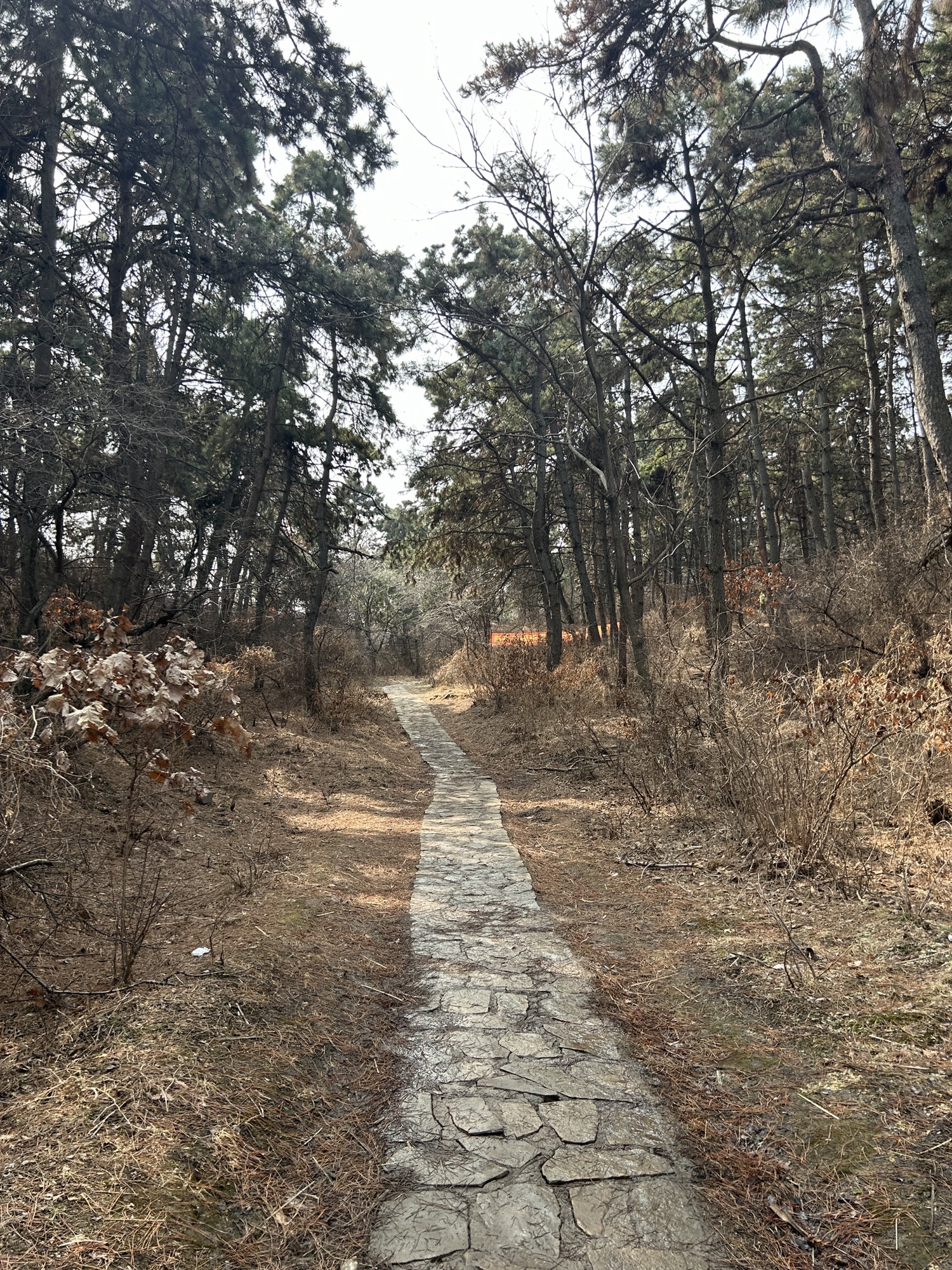 马耳山风景区旅行图片 2