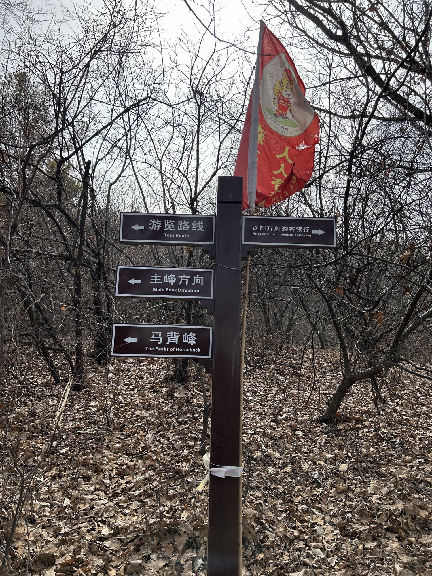 马耳山风景区旅行图片 3