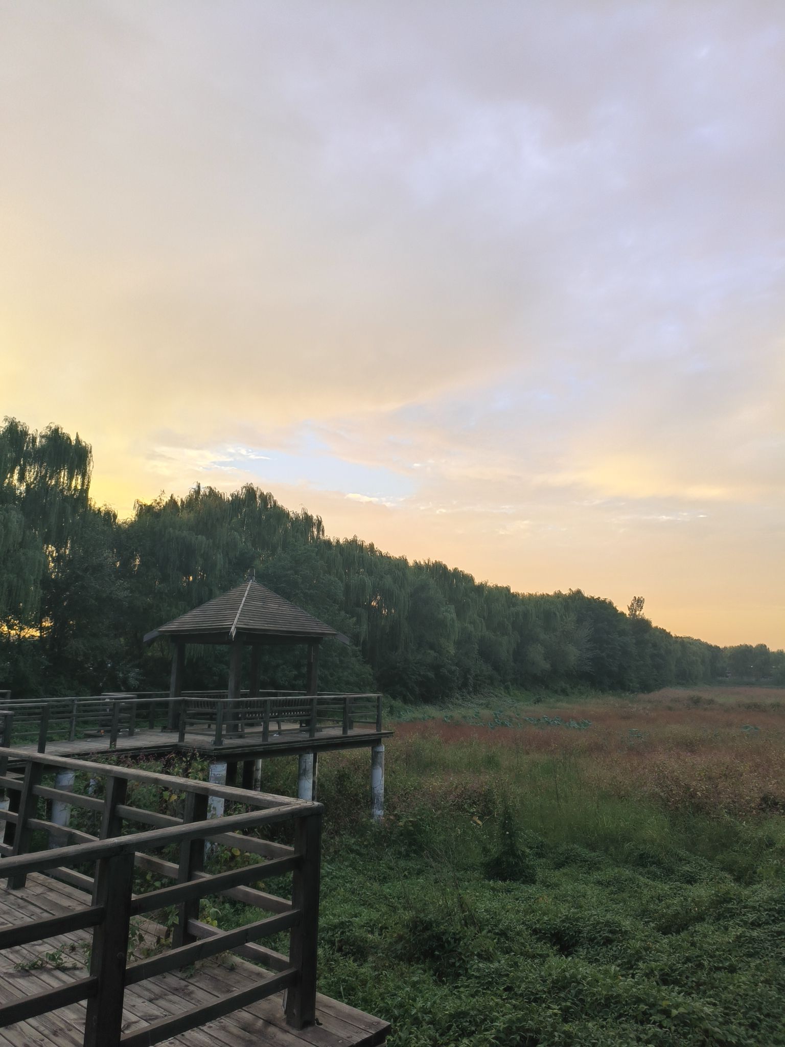 森林湖旅行图片 2