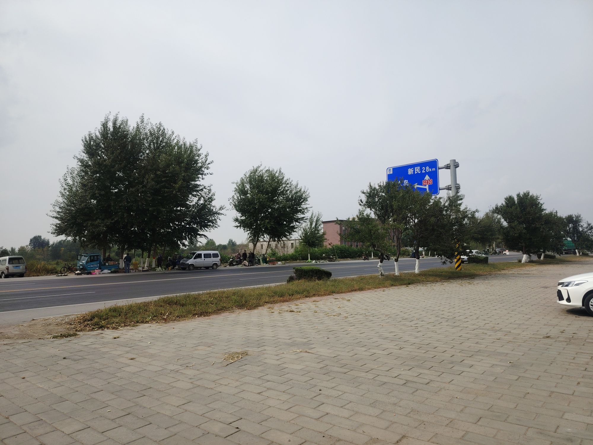 蒲河滩地公园旅行图片 3