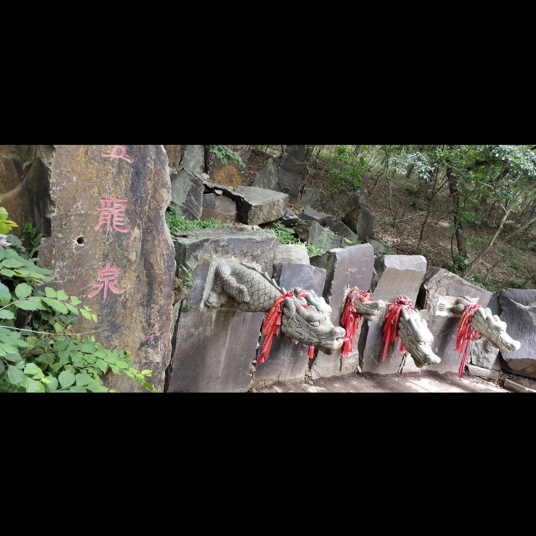五龙山旅行图片 1