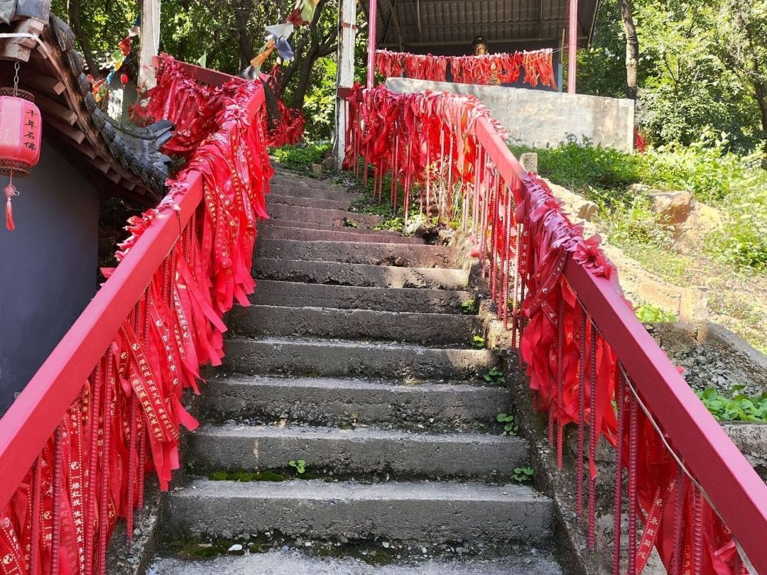 五龙山旅行图片 3