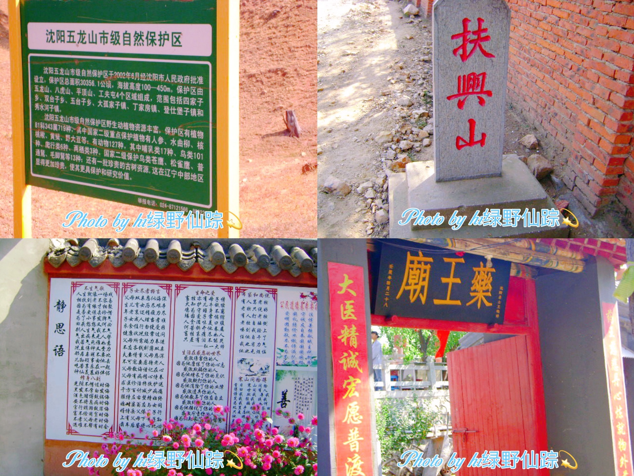 五龙山旅行图片 1