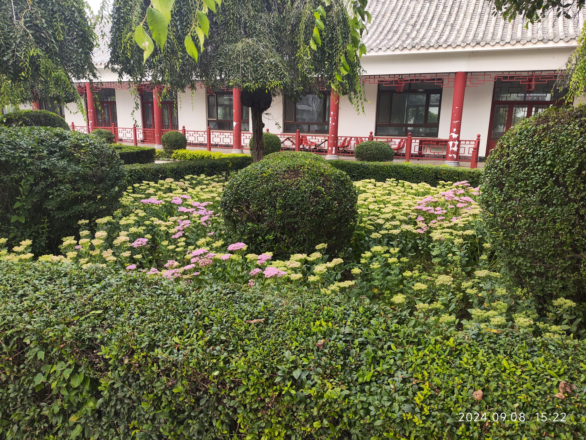 新民文化博览园旅行图片 3