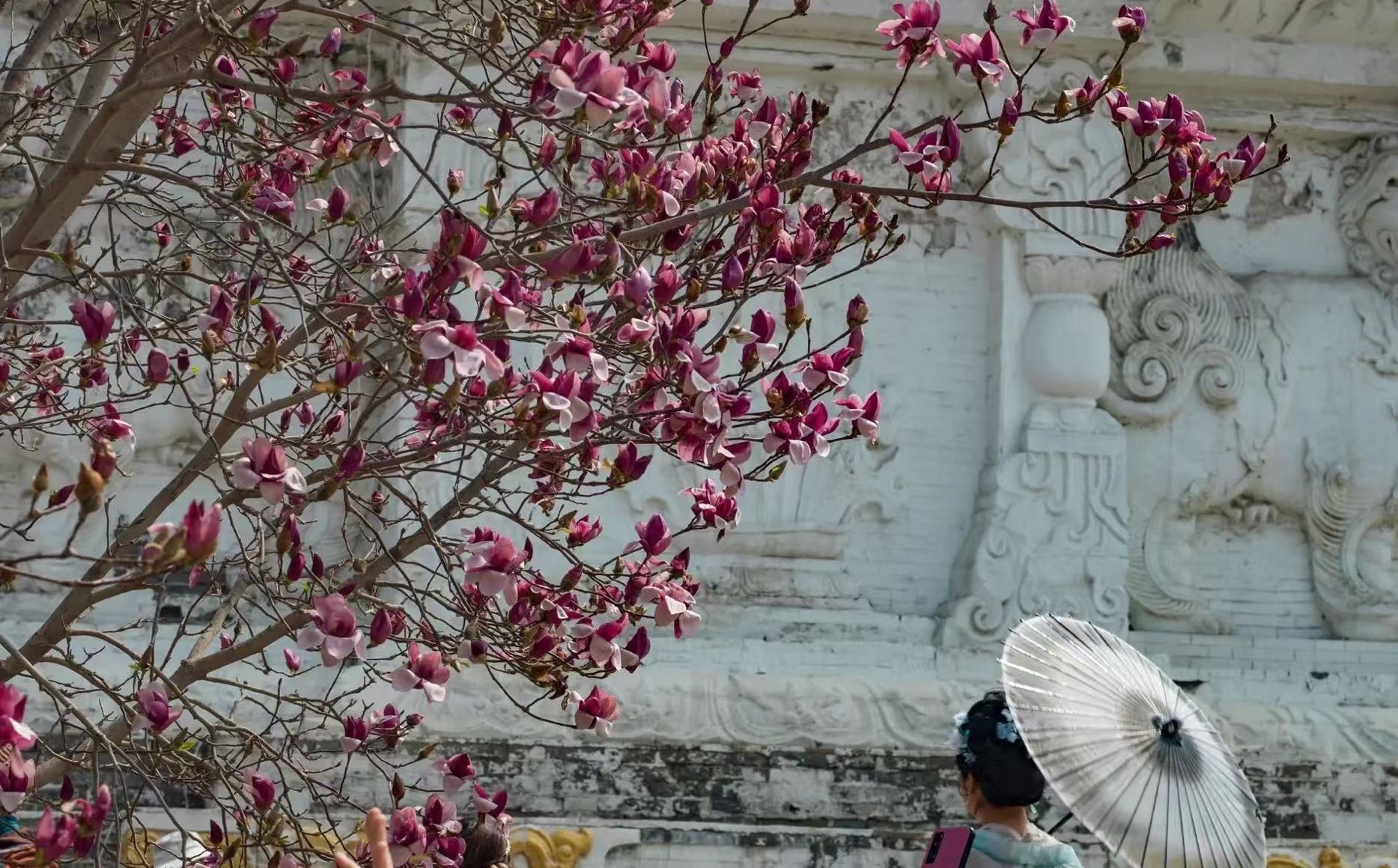 东塔文化广场旅行图片 1