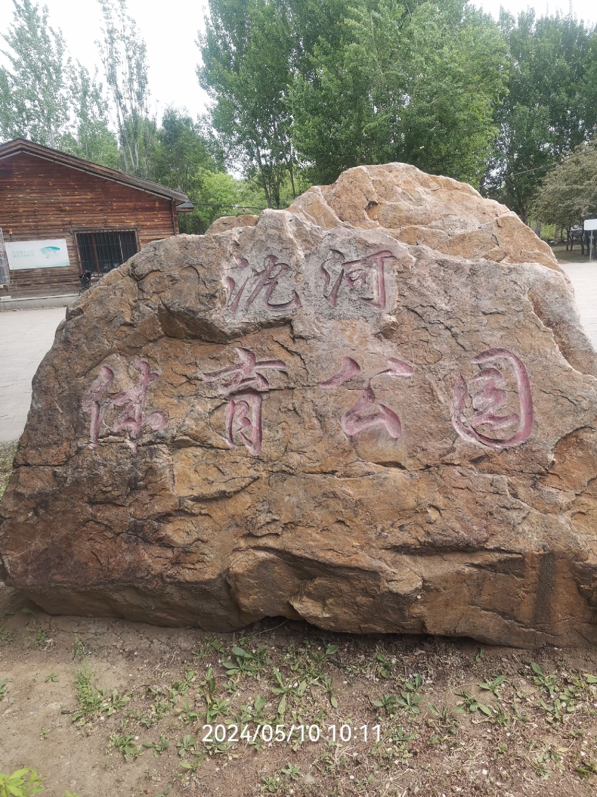 沈河体育公园旅行图片 1