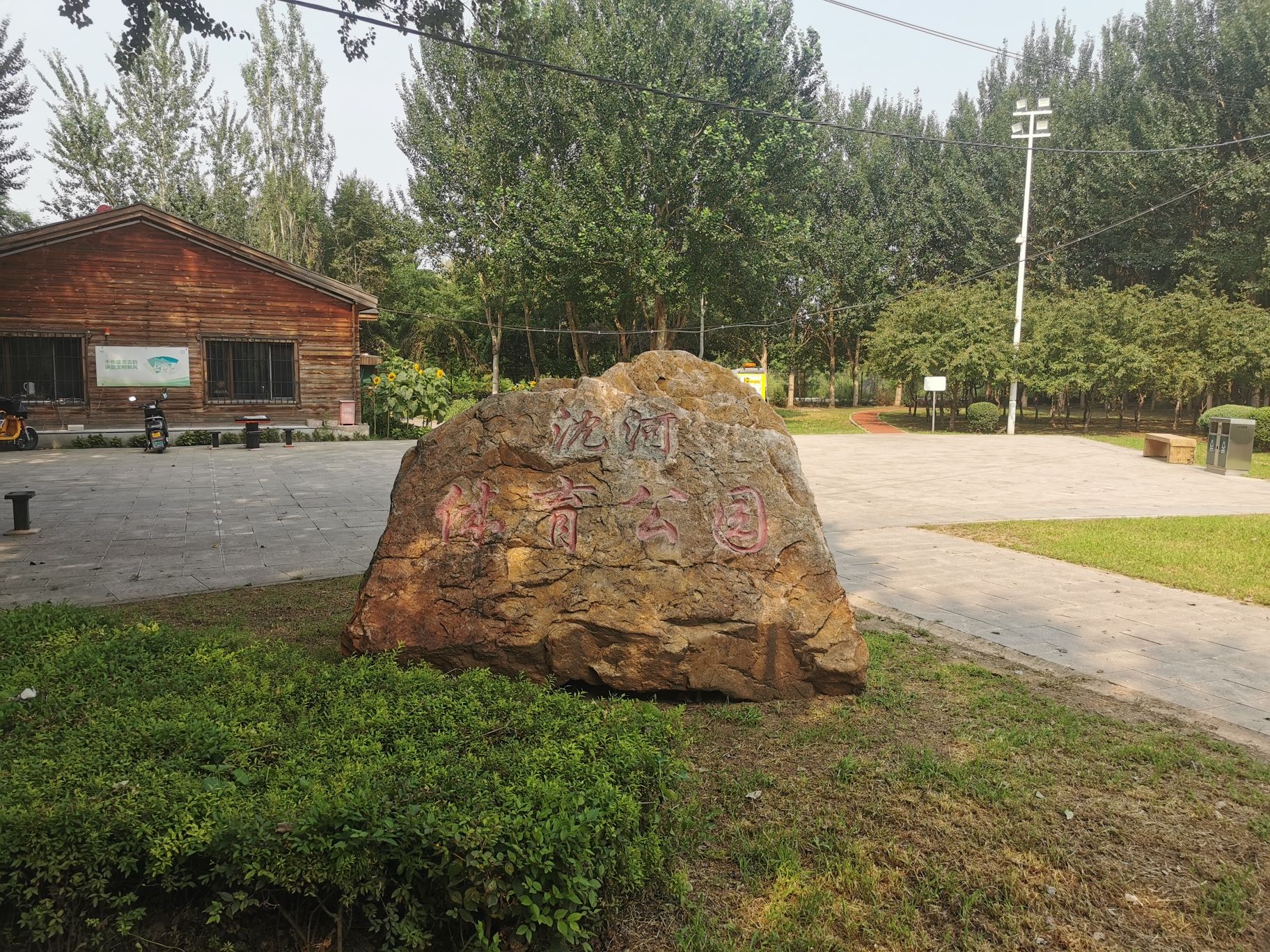 沈河体育公园旅行图片 1