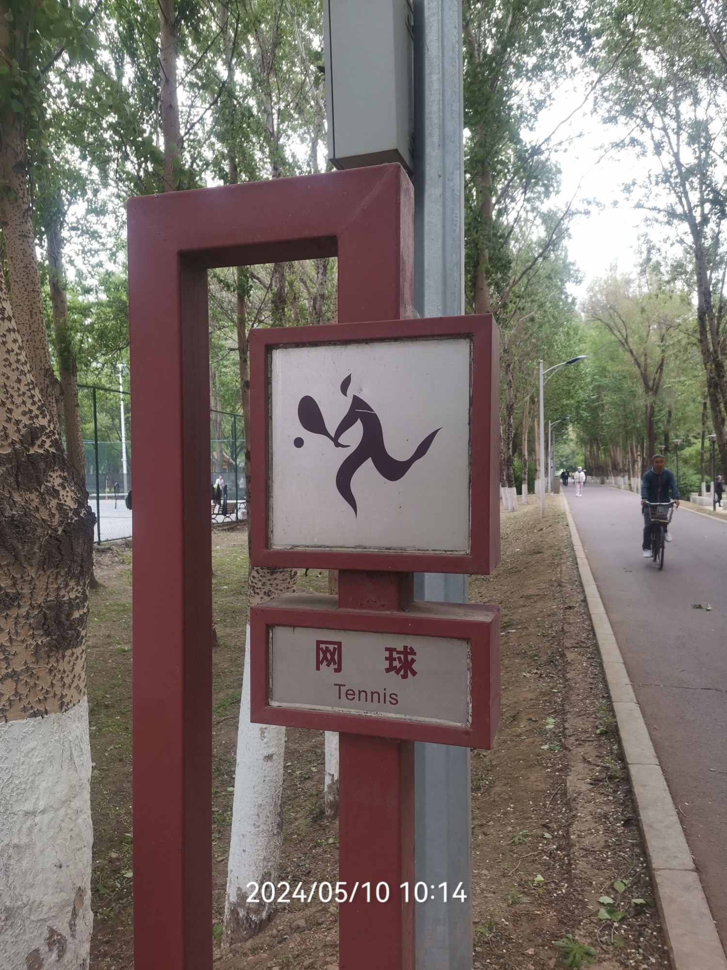 沈河体育公园旅行图片 2
