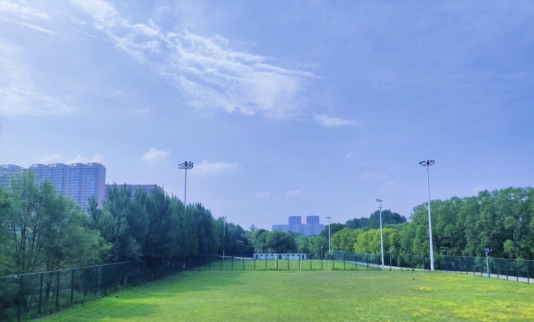 和平公园旅行图片 3