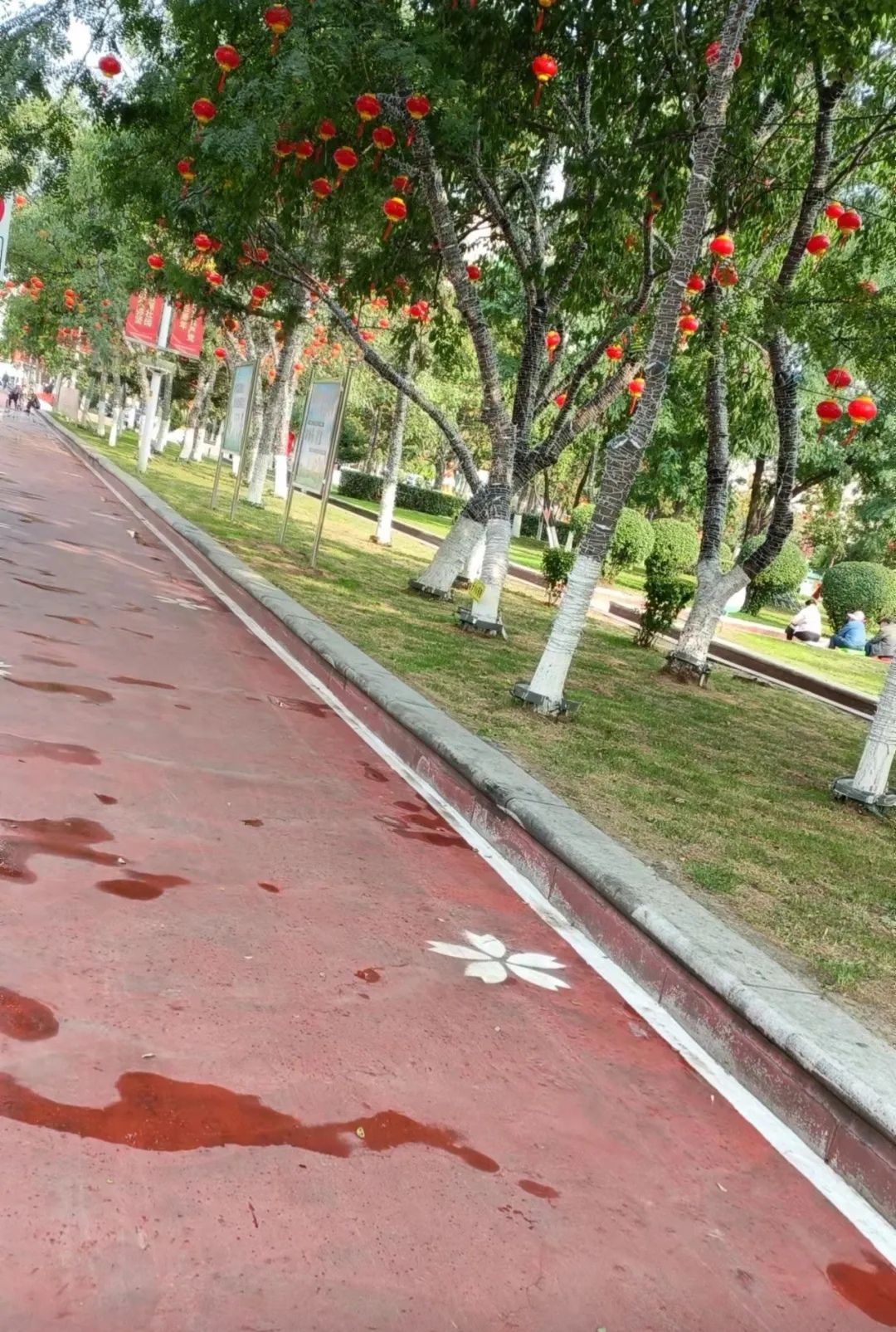 苏家屯区人民广场旅行图片 2