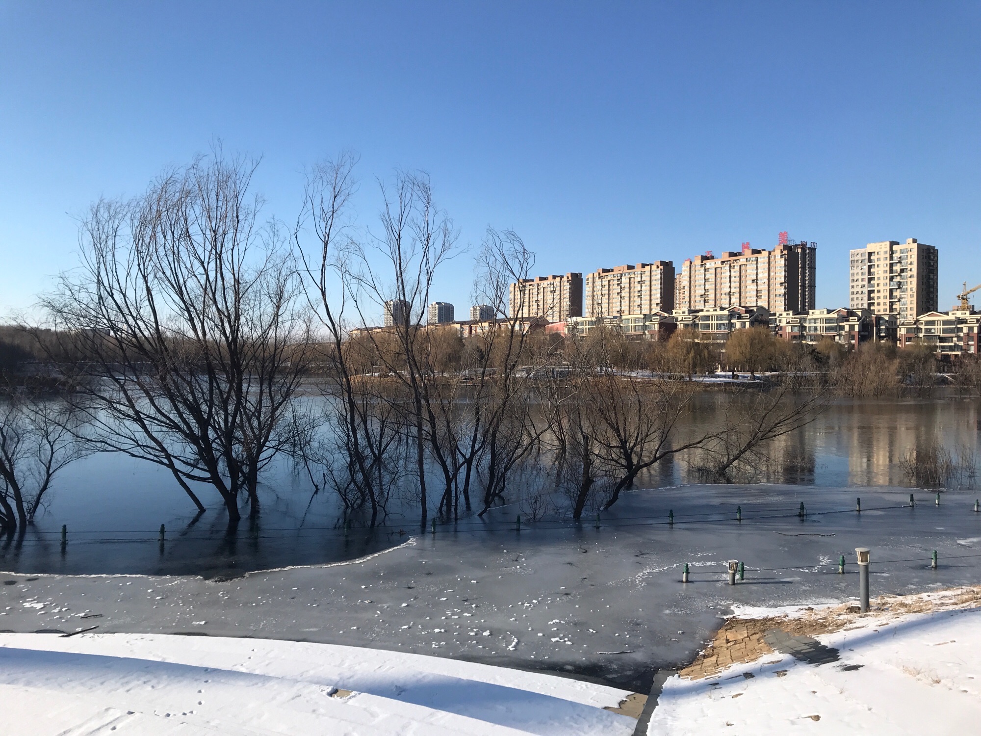 熙湖公园旅行图片 2