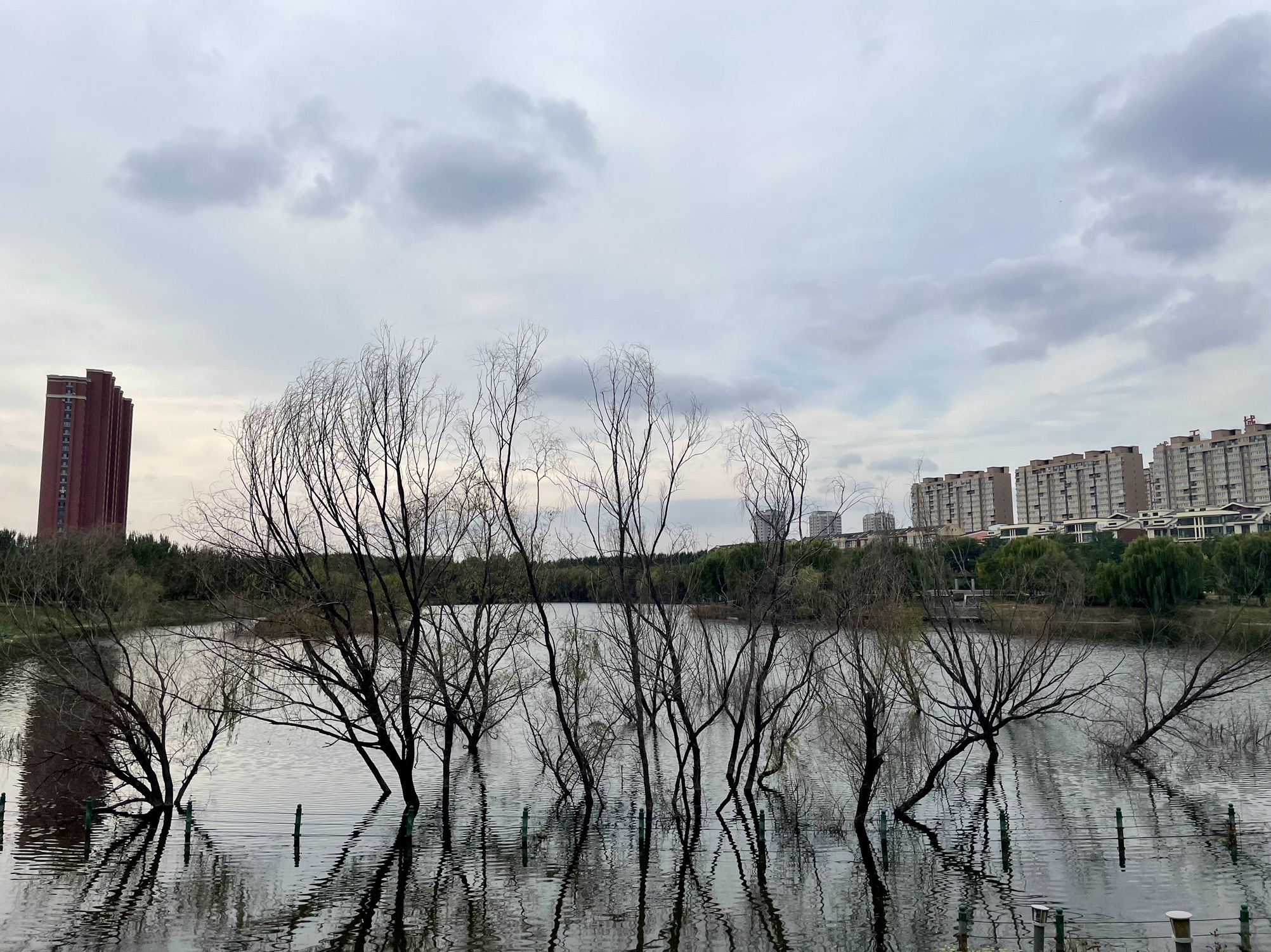 熙湖公园旅行图片 1