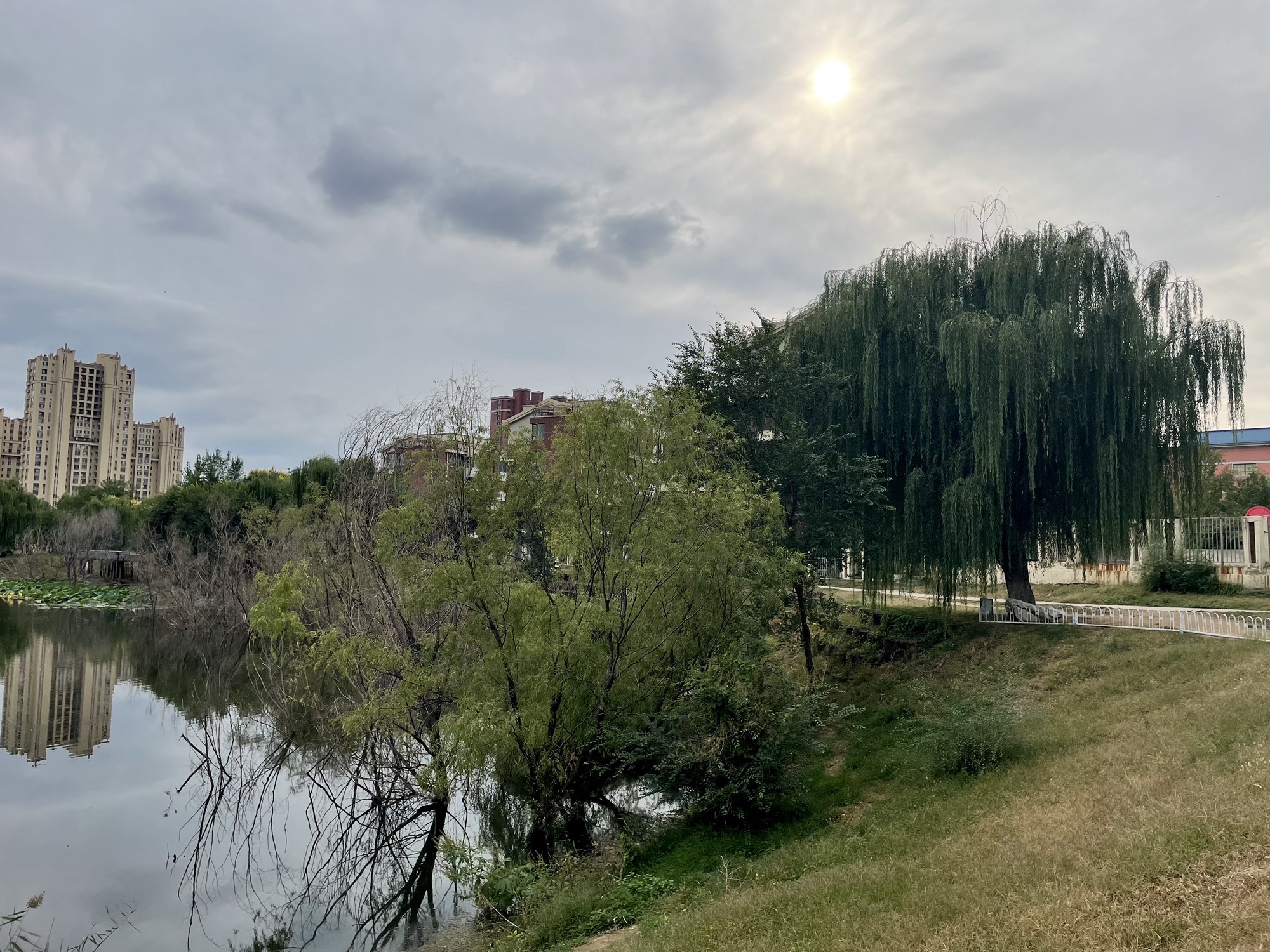 熙湖公园旅行图片 3